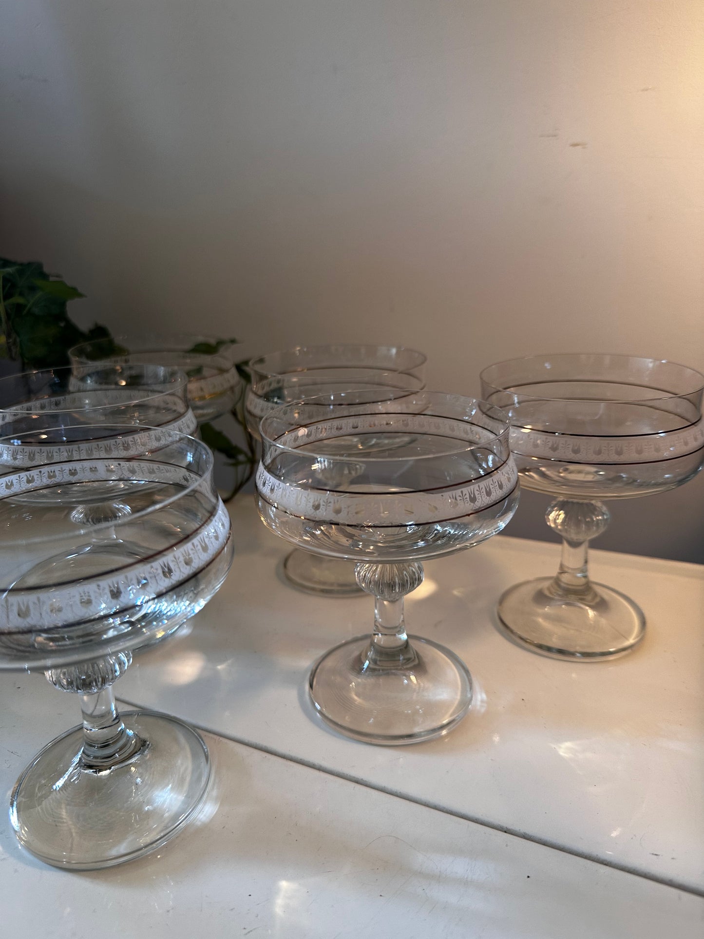 Set van 6 vintage coupe champagne glazen