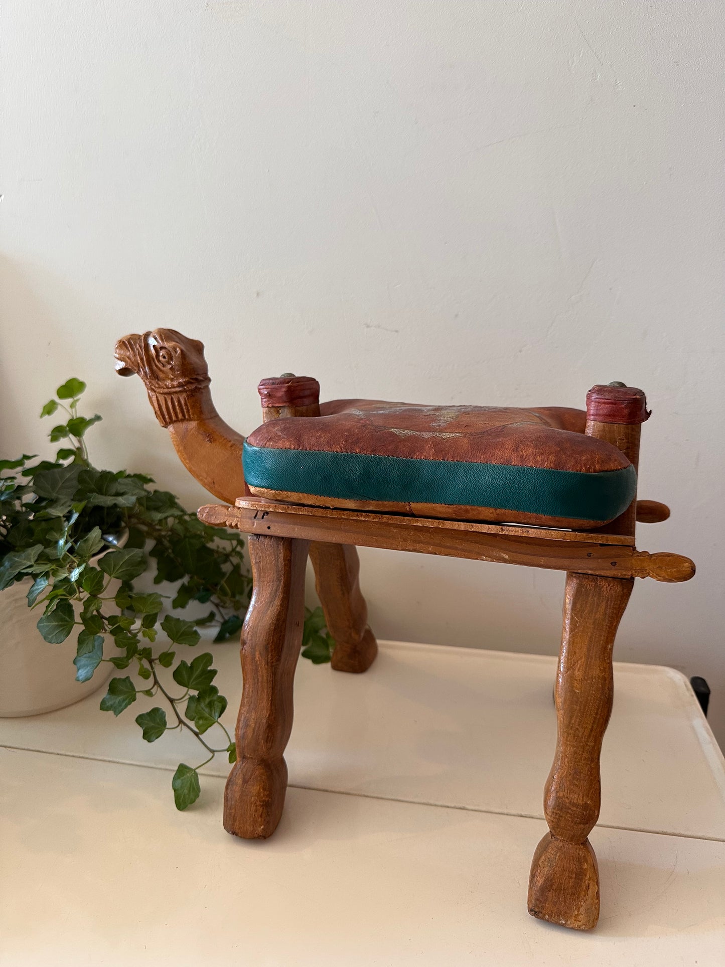 Kamelenkrukje plantentafeltje