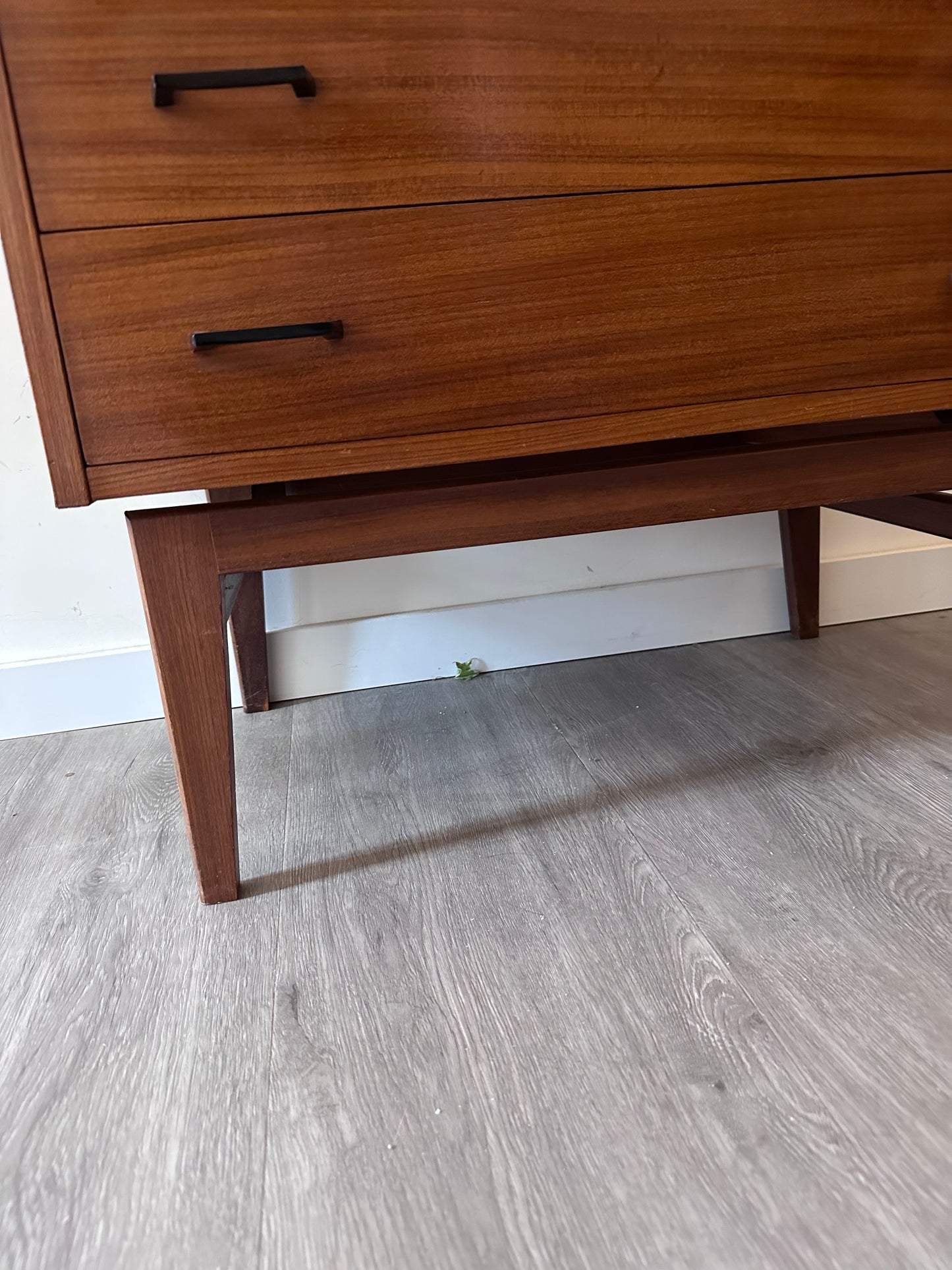 Midcentury Scandinavische ladenkast