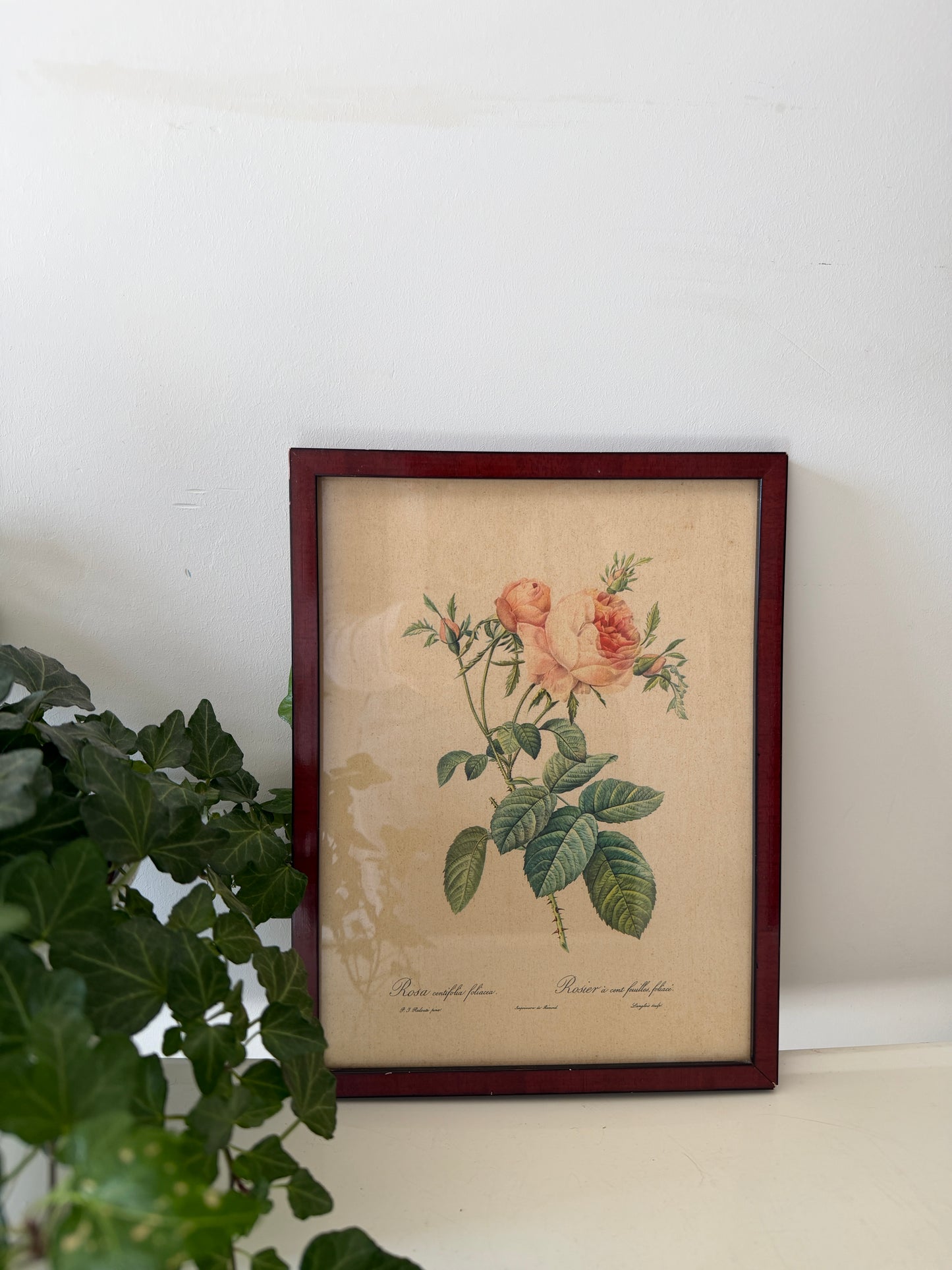 Vintage lijst met rozen prent