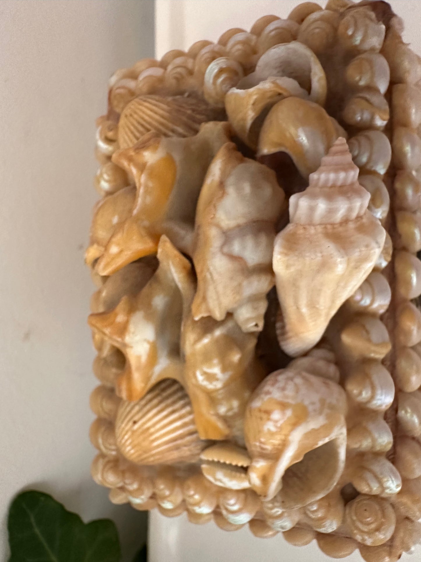 Vintage schelpendoosje