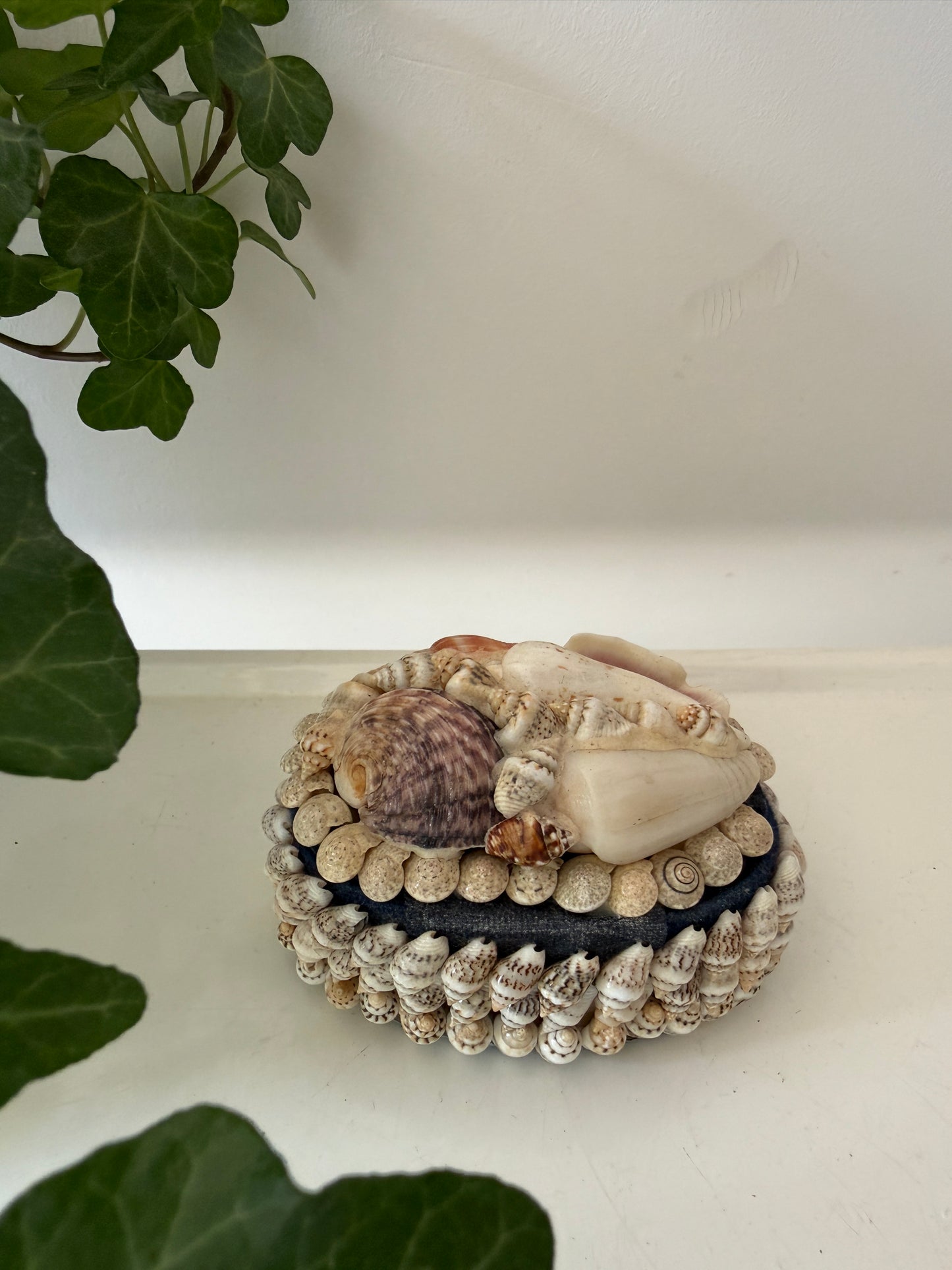 Schelpen bewaardoosje ovaal