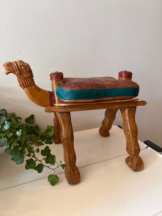 Kamelenkrukje plantentafeltje