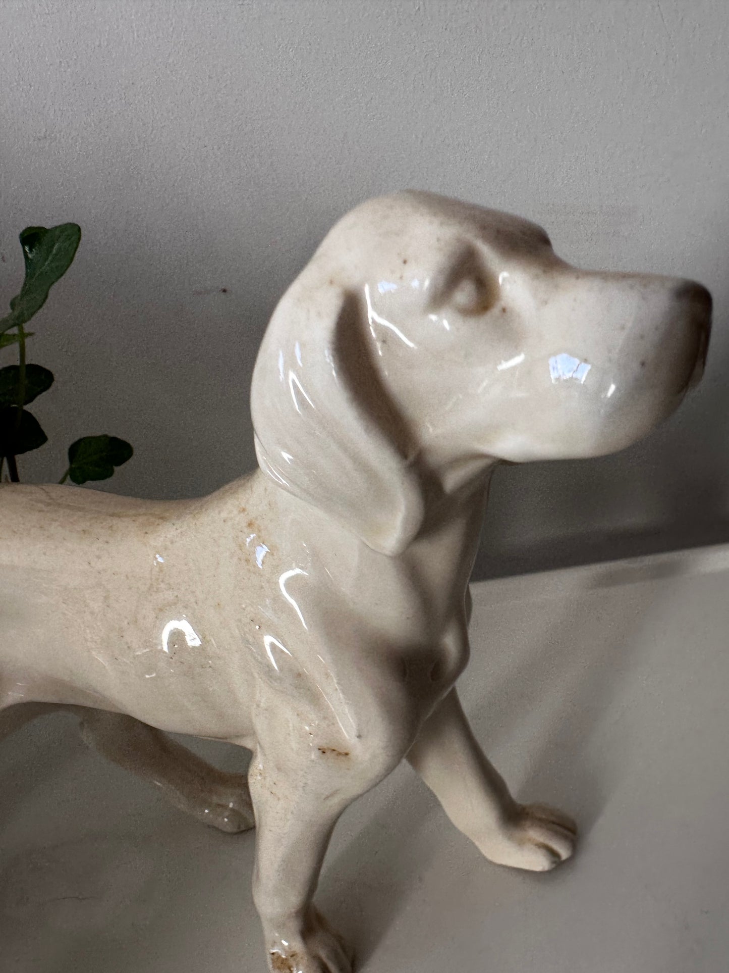 Porseleinen hond, setter vintage