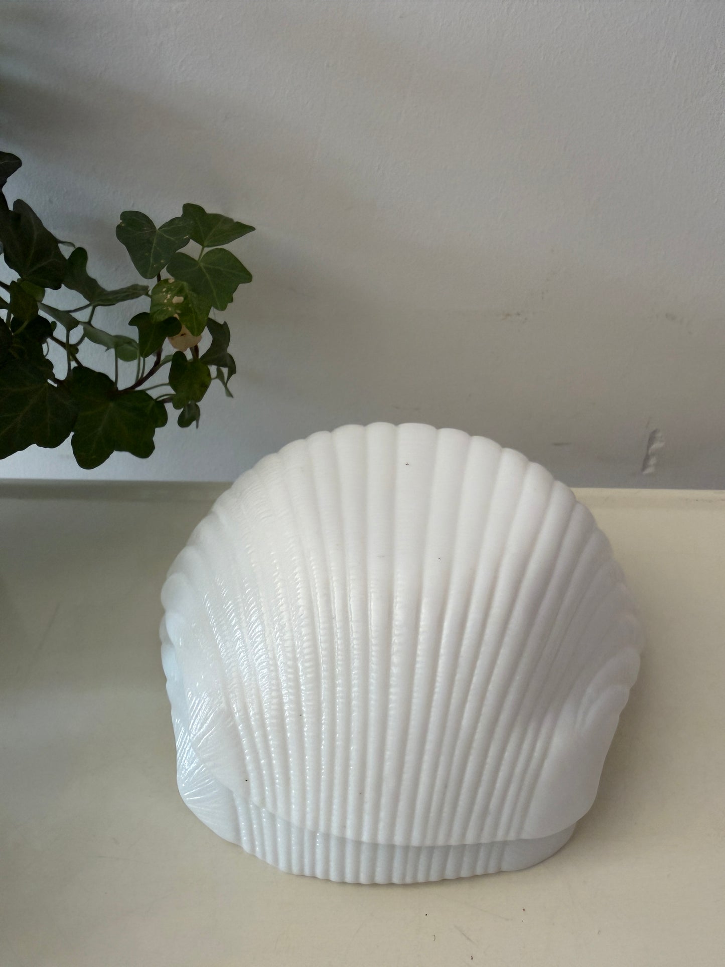 Twee schelpschaaltjes