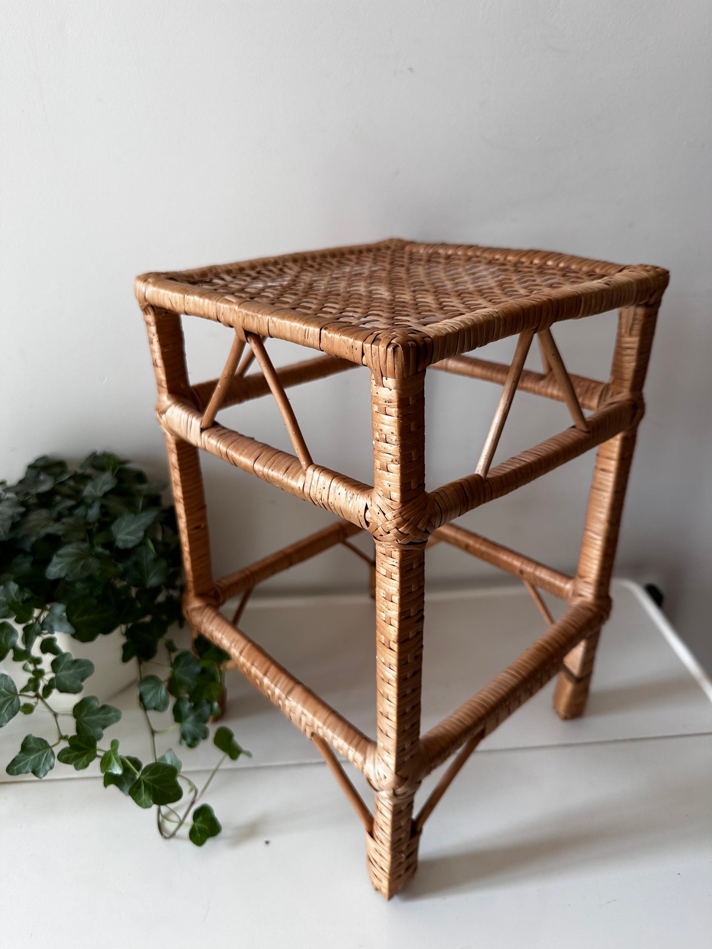 Rotan vintage plantentafeltje