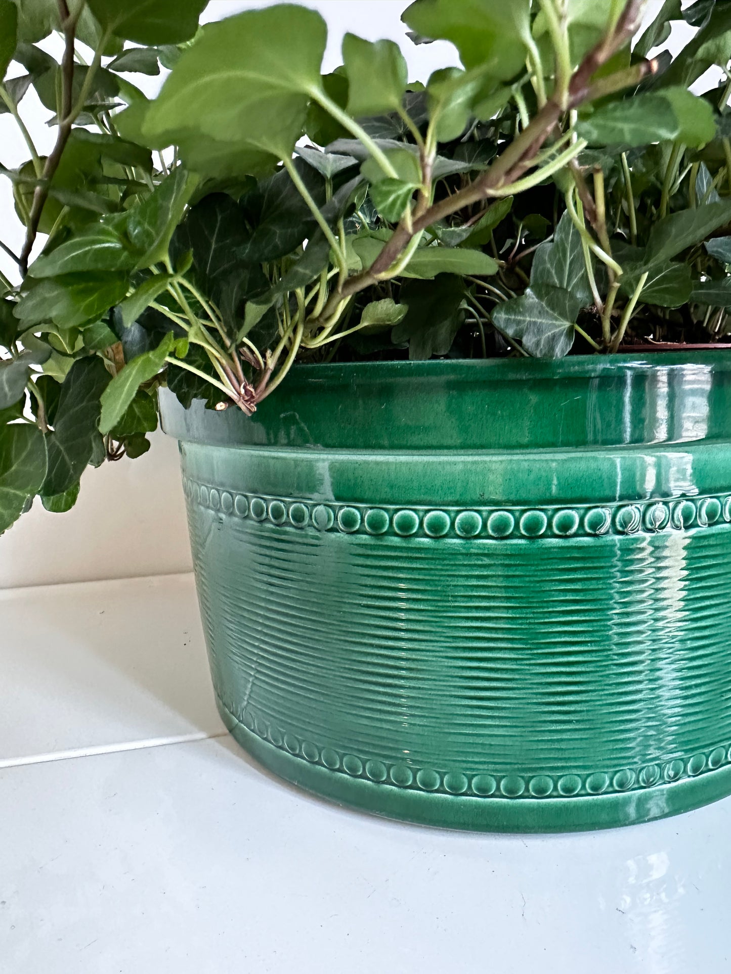 Groene vintage bloempot