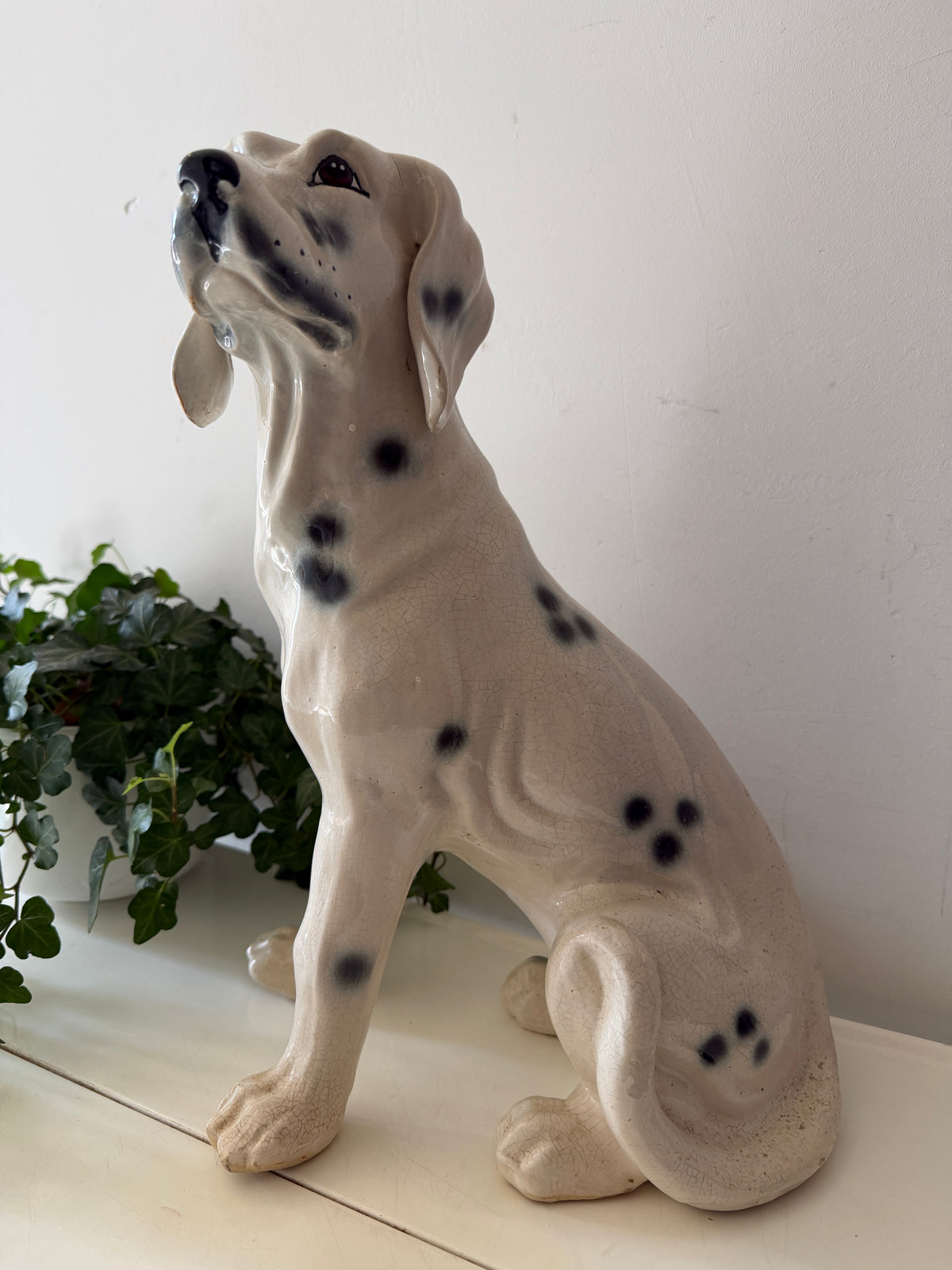 Italiaans beeld dalmatiër