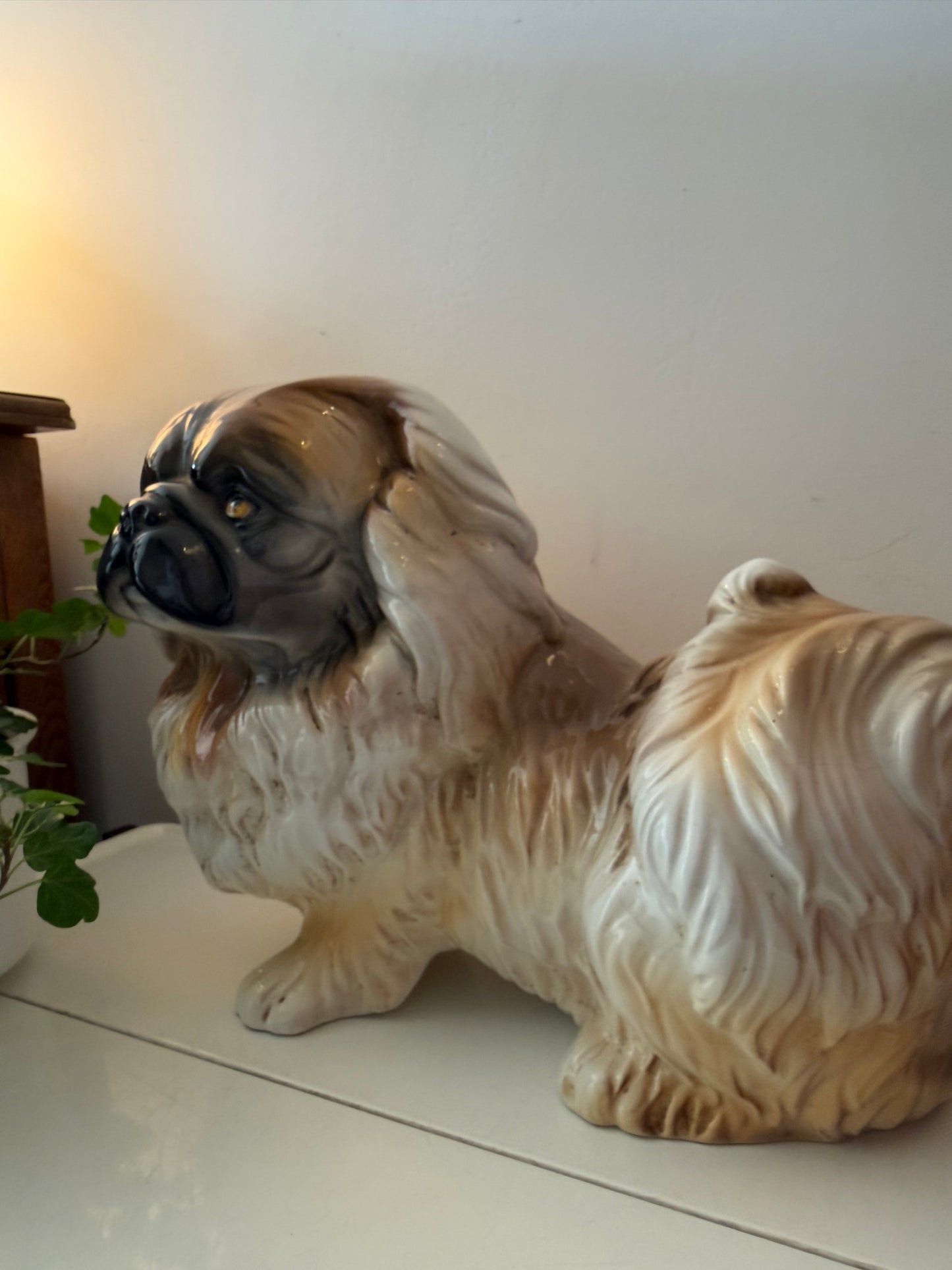 Groot beeld Pekinees
