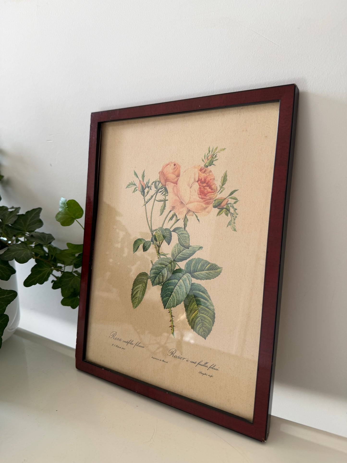 Vintage lijst met rozen prent