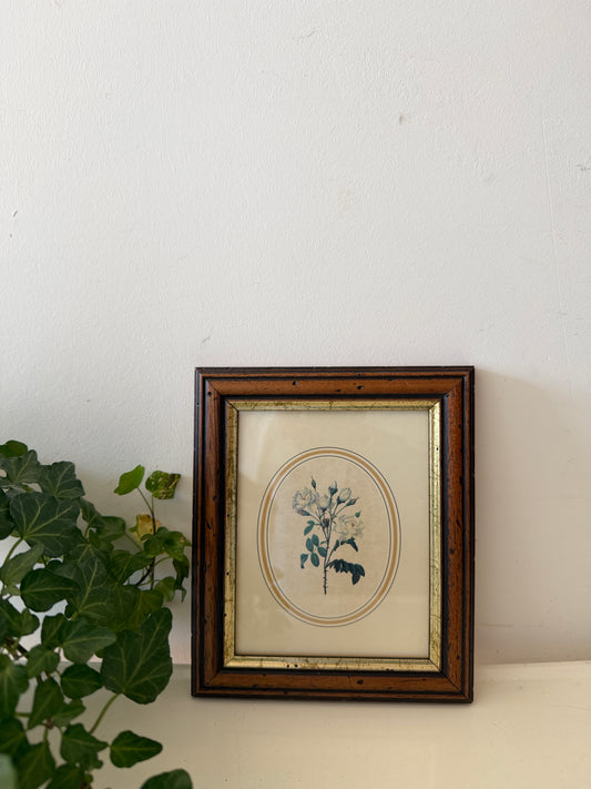 Vintage lijst met bloemenprent