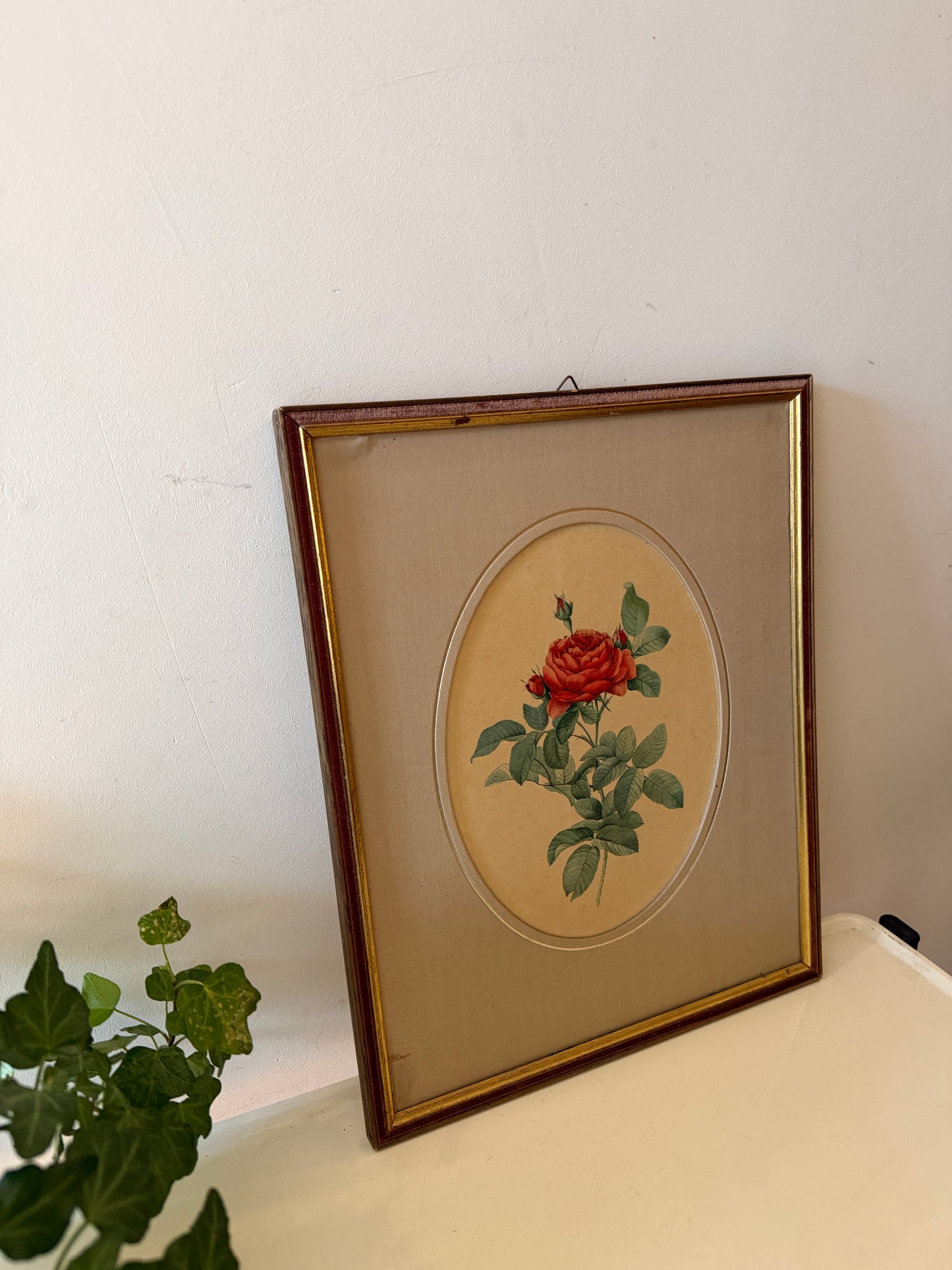 Rozenprent in lijst met passe-partout