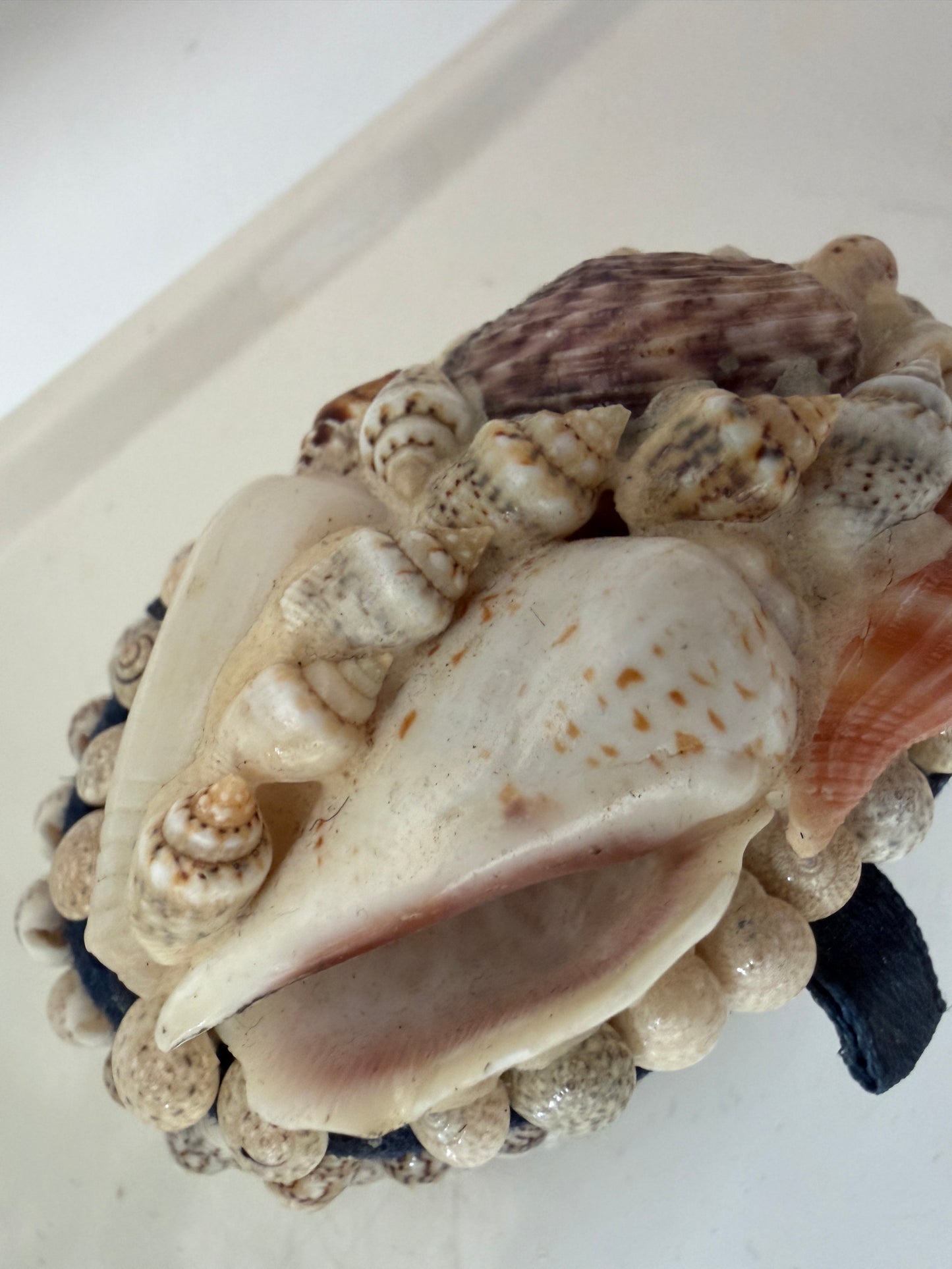 Schelpen bewaardoosje ovaal