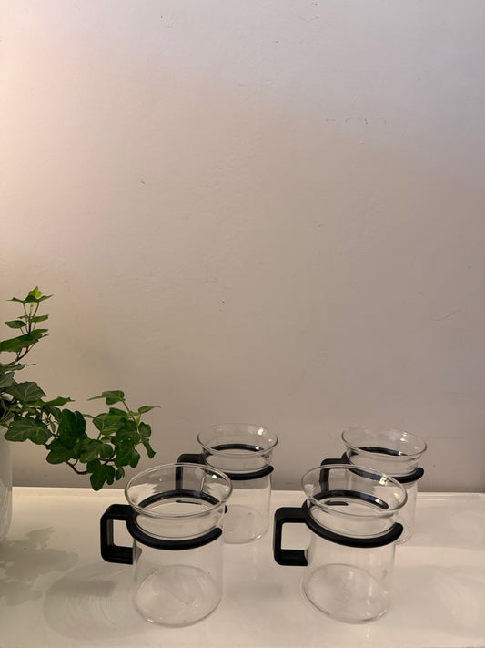 Set van 4 Bodum glazen