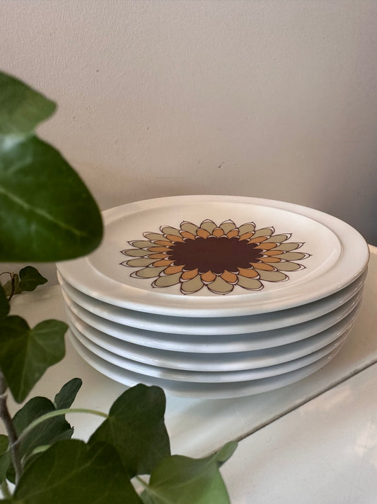 Set van 6 porseleinen retro gebaksbordjes