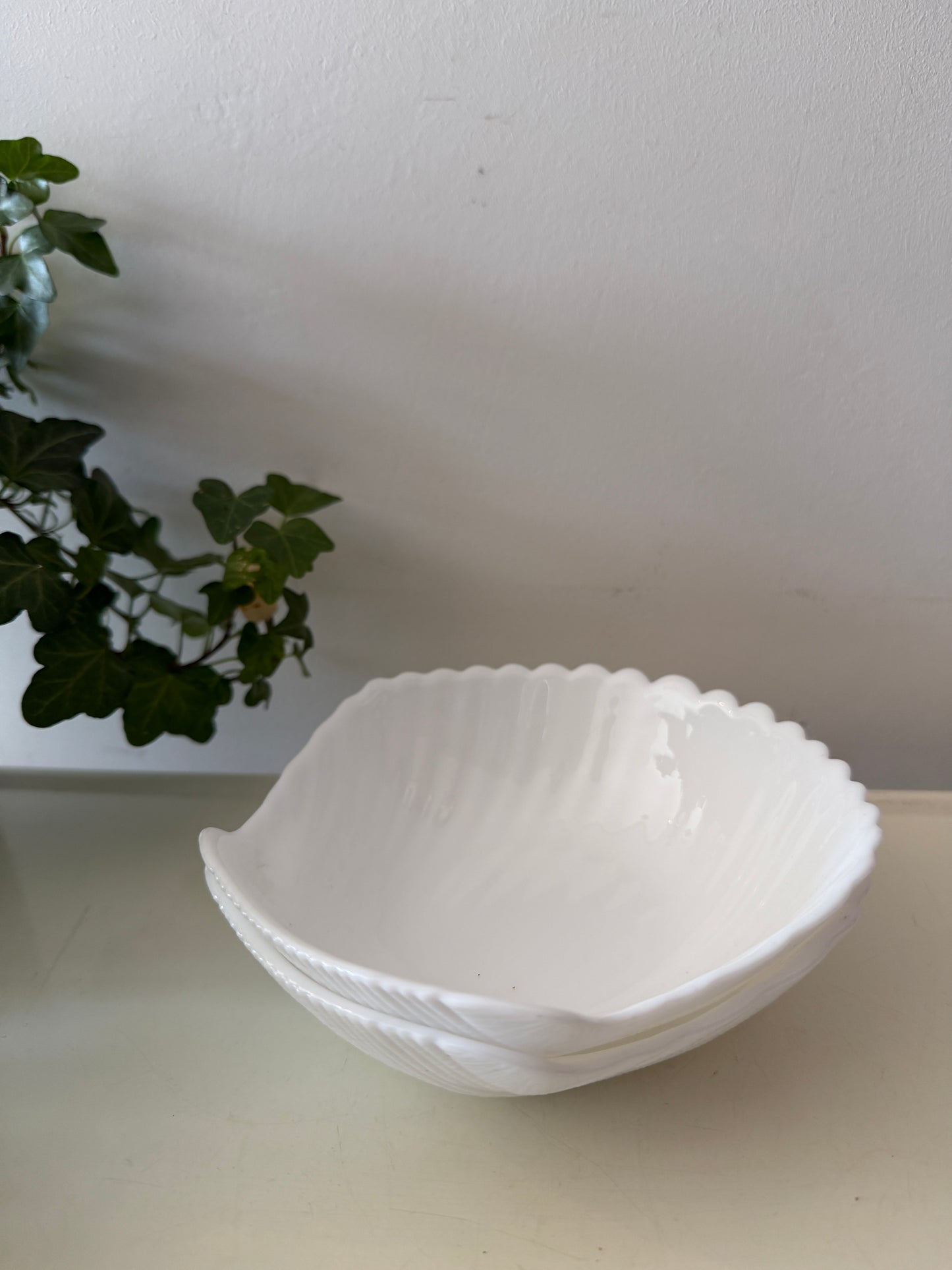 Twee schelpschaaltjes