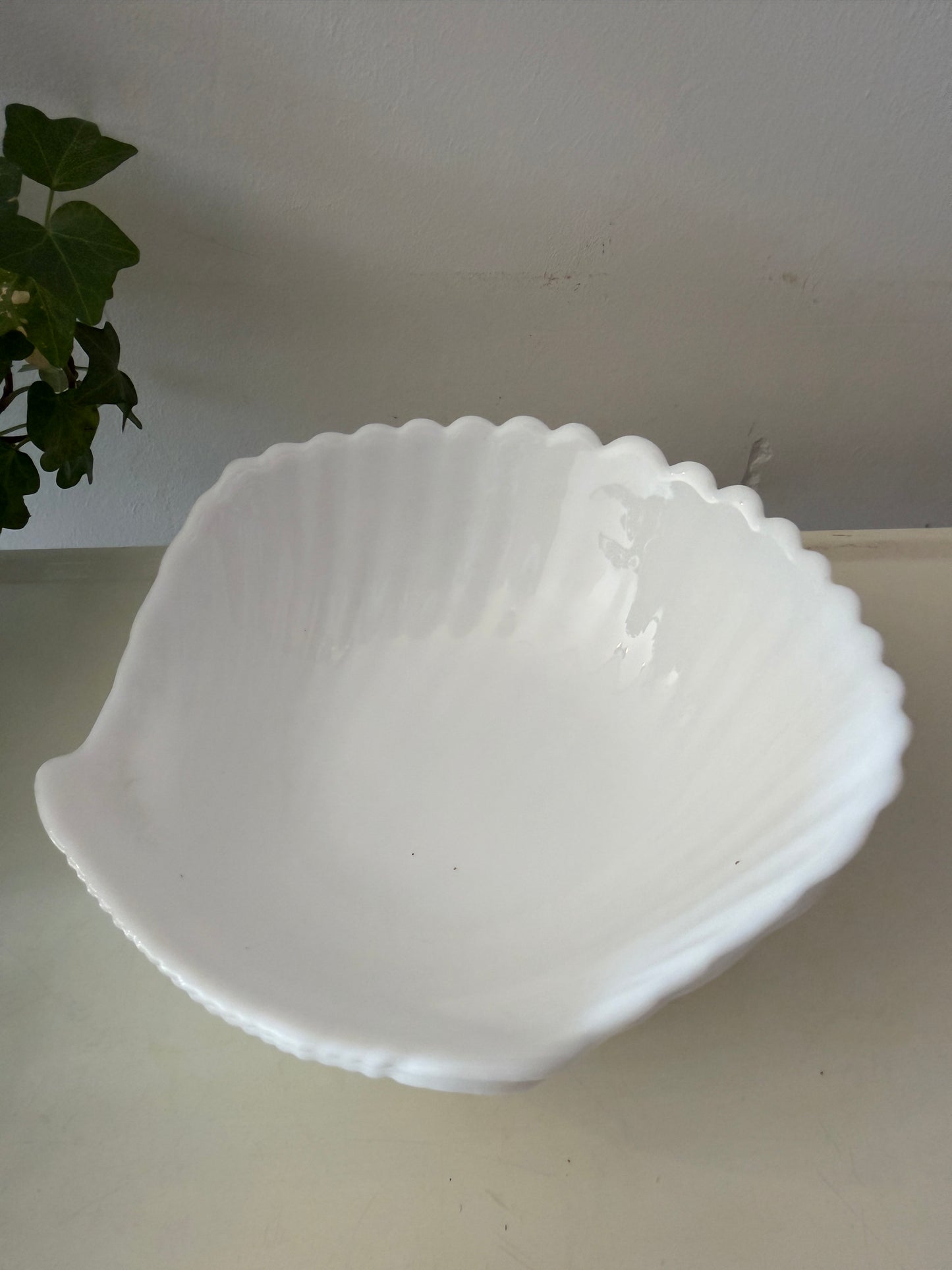 Twee schelpschaaltjes