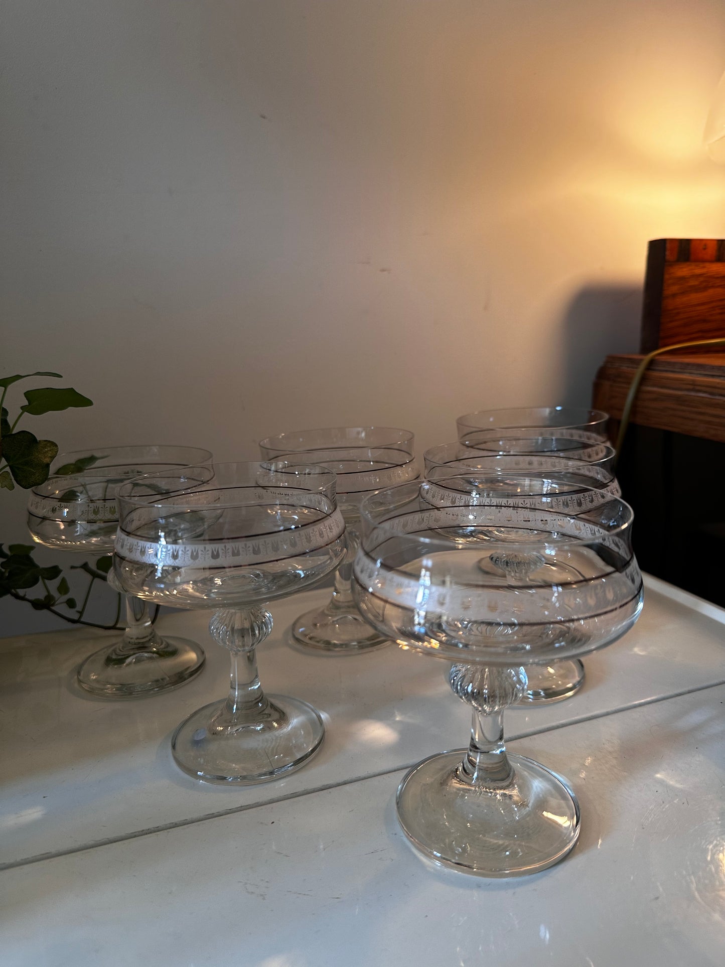 Set van 6 vintage coupe champagne glazen