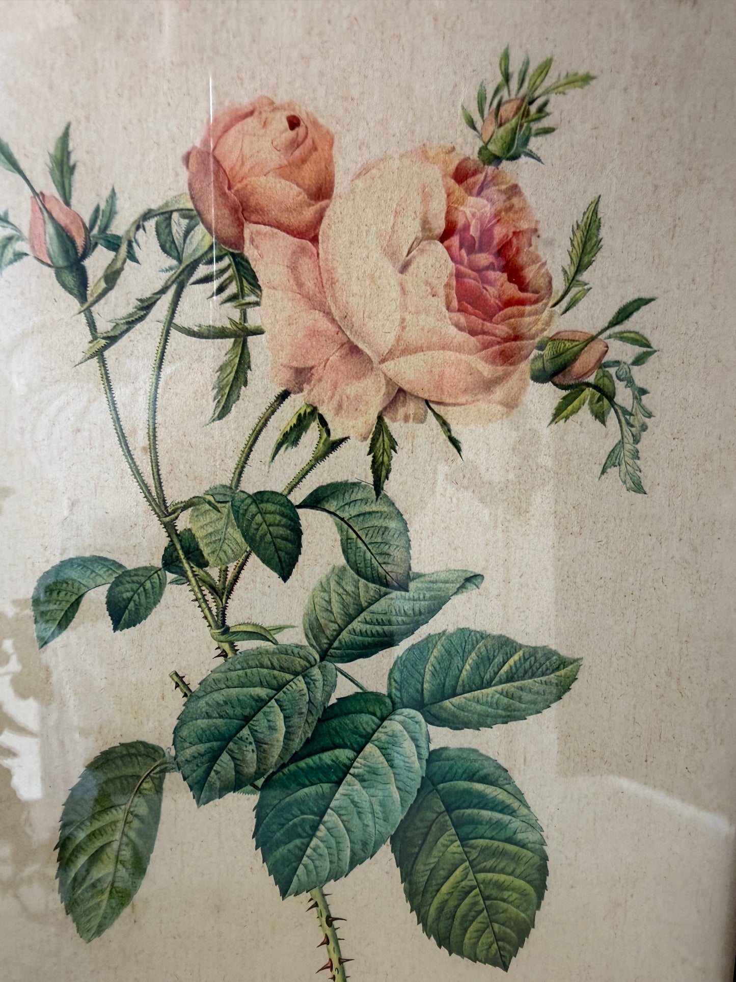 Vintage lijst met rozen prent