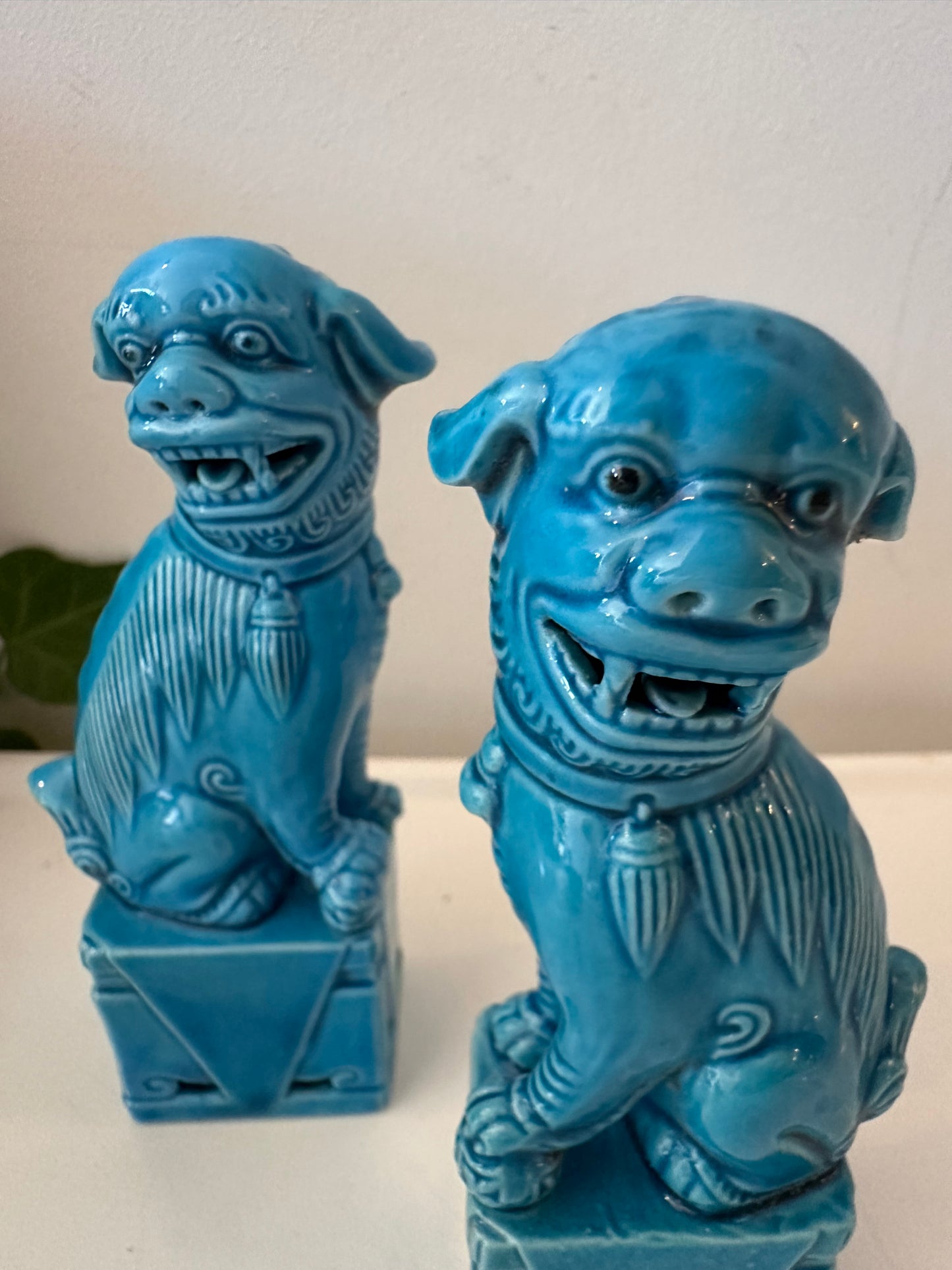 Set turquoise Foo Dogs tempelwachters