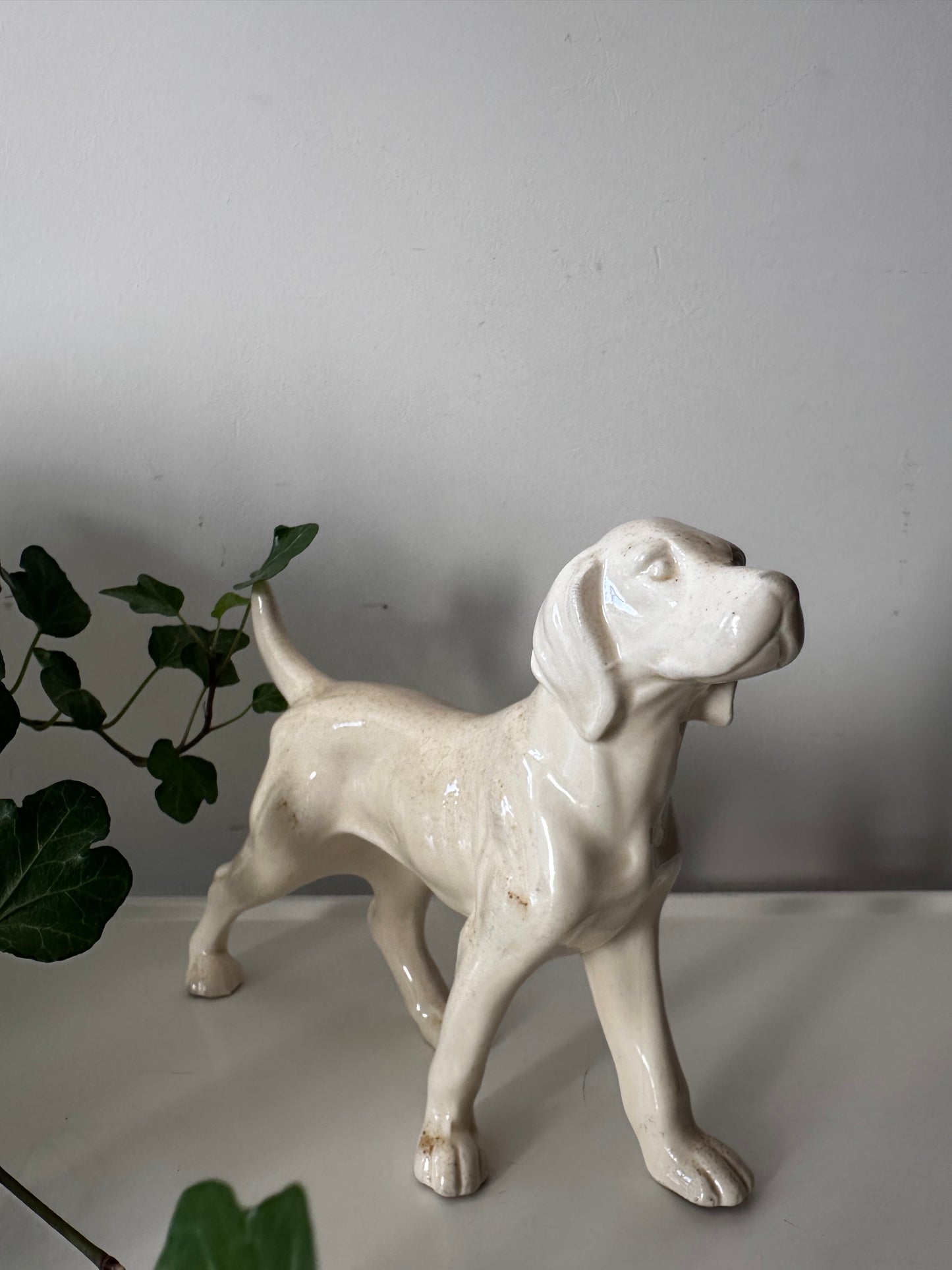 Porseleinen hond, setter vintage