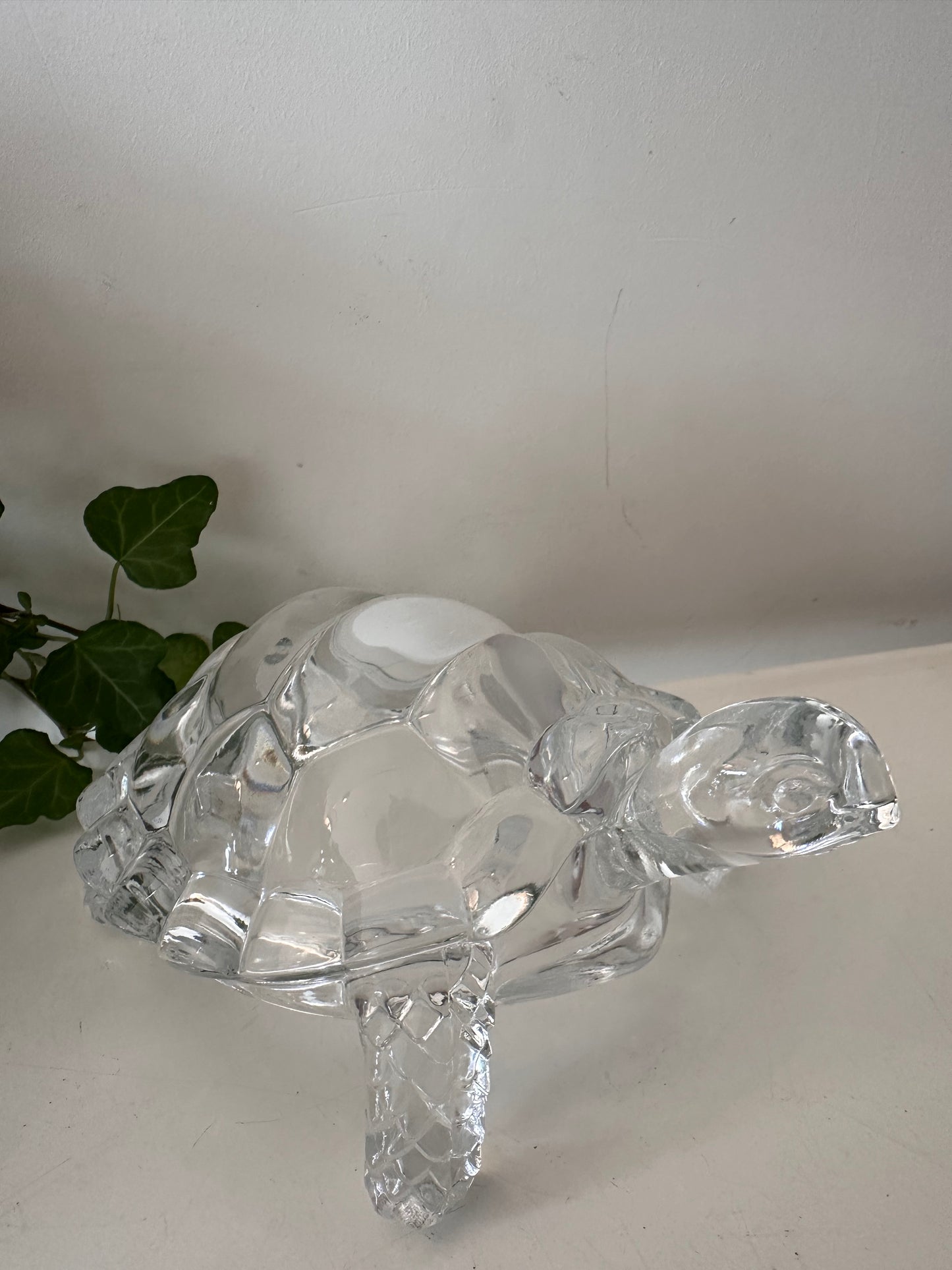 Glazen schildpad jaren 70