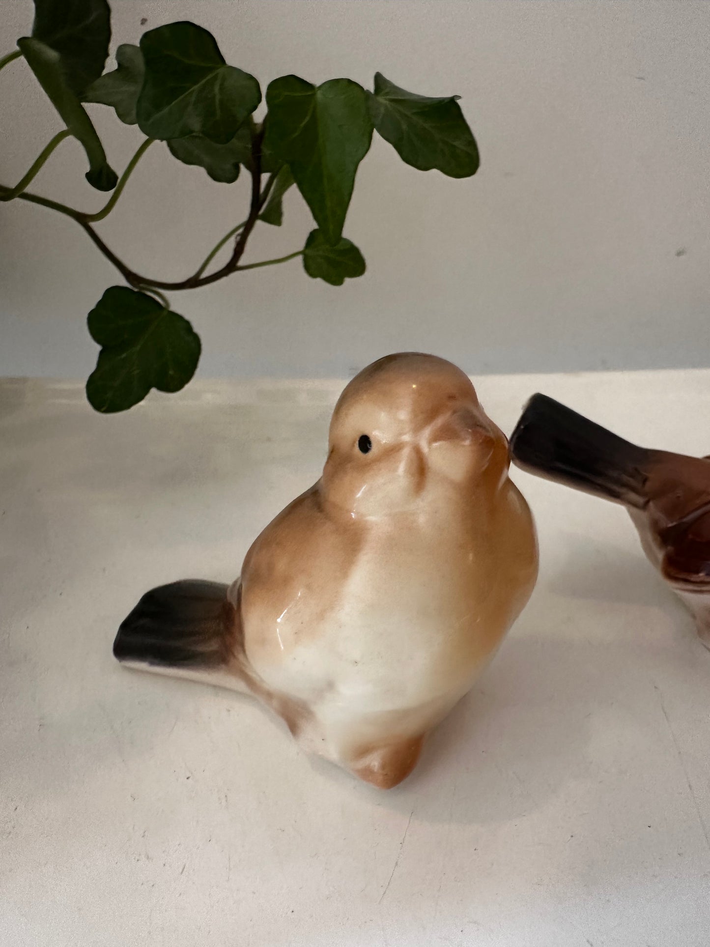 Set van 2 porseleinen vogeltjes