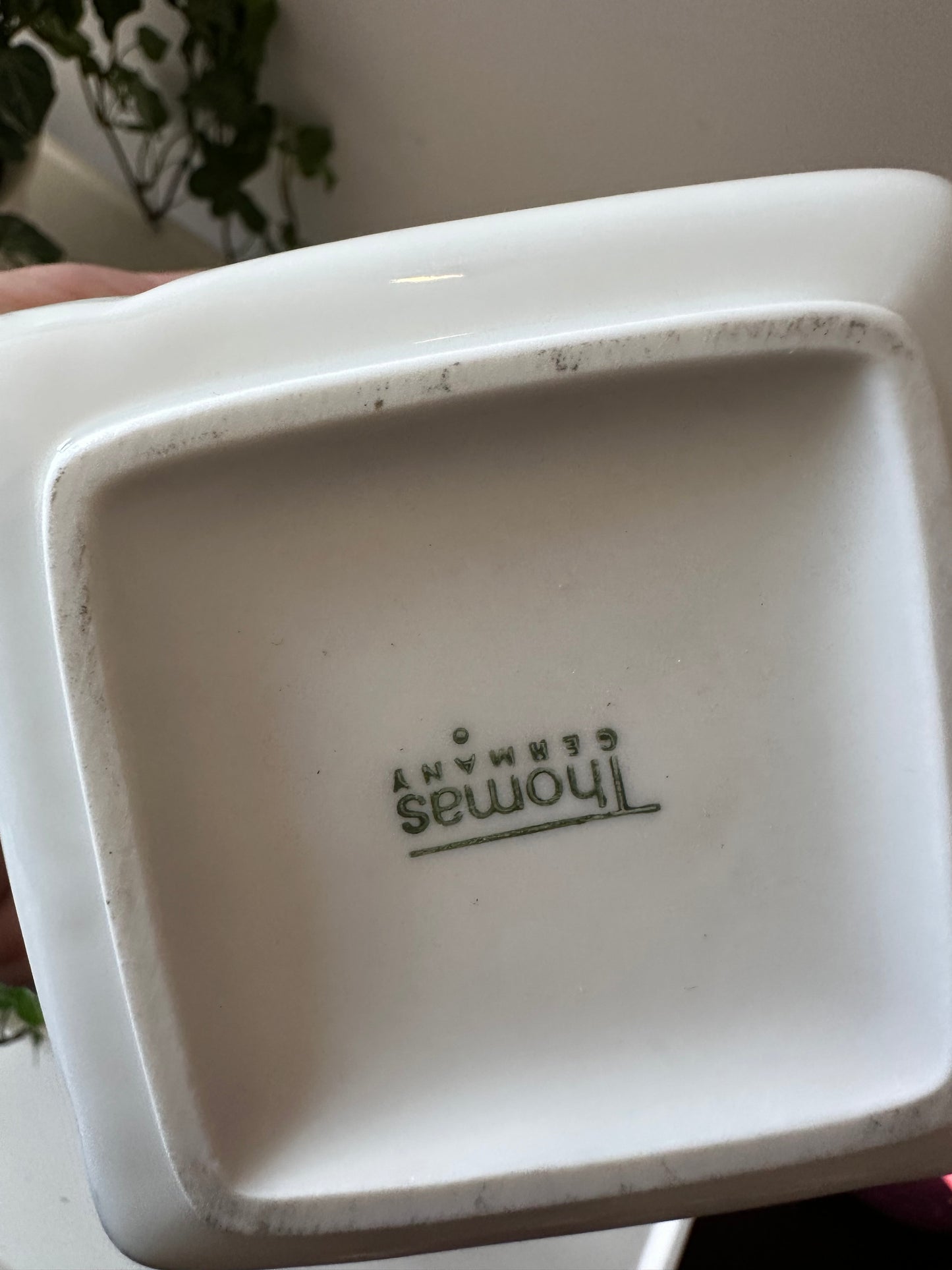 Thomas Porseleinen witte schubben vaas