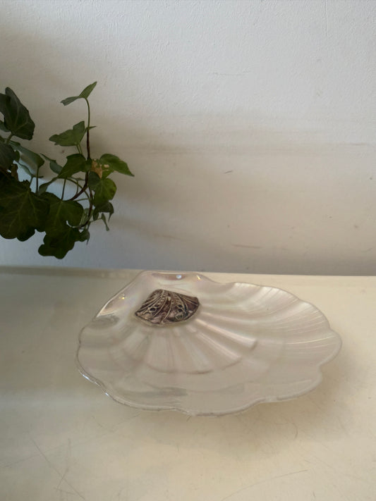 Parelmoer schelpenschaaltje