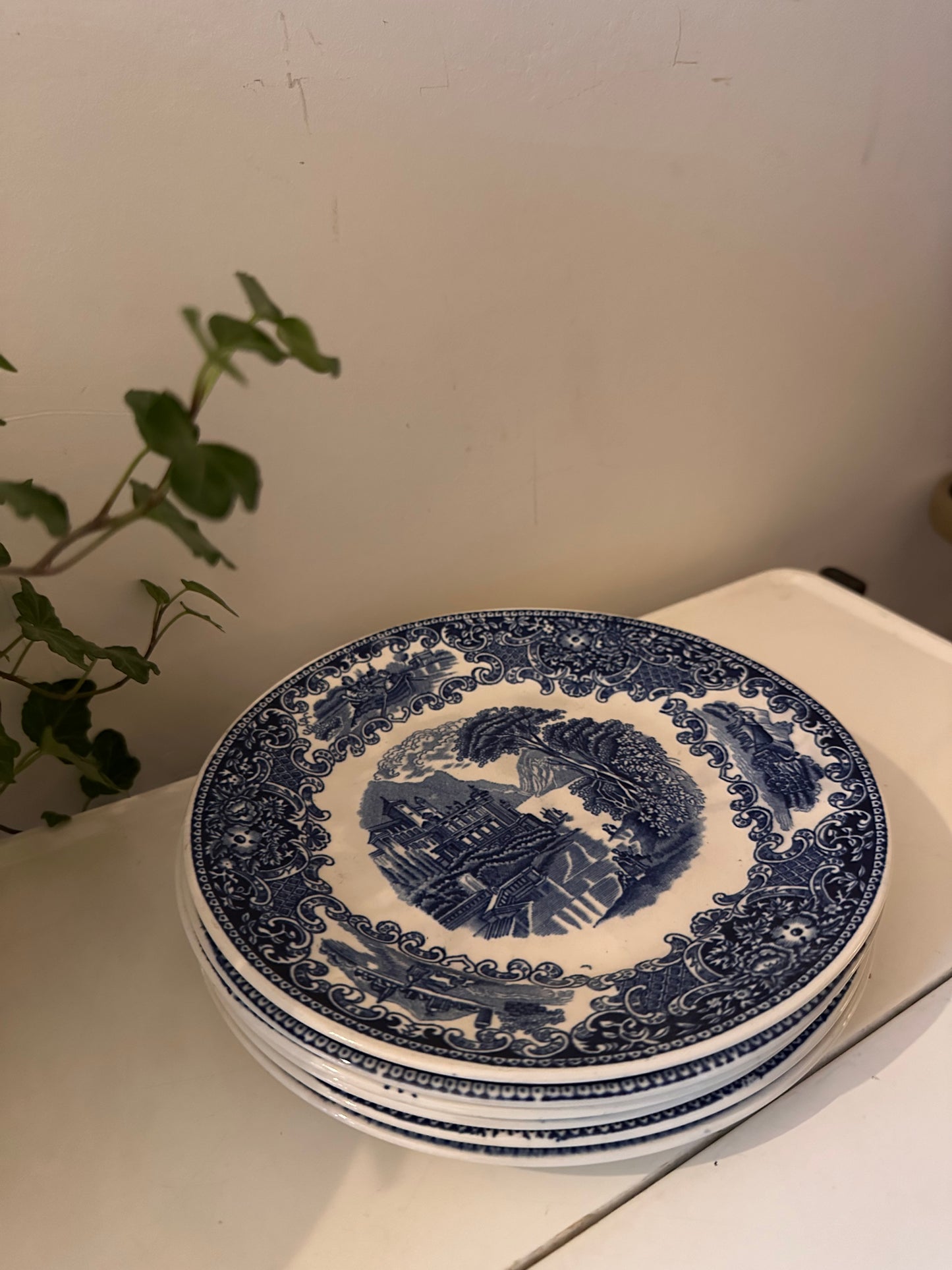 Set van 6 blauw witte bordjes