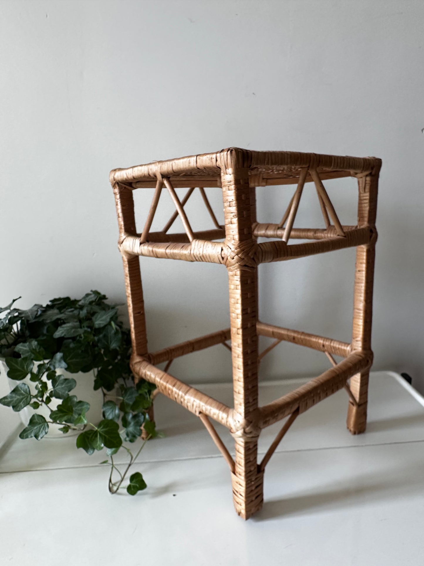 Rotan vintage plantentafeltje