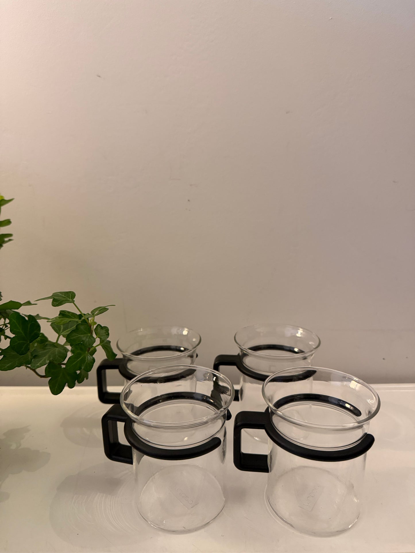 Set van 4 Bodum glazen