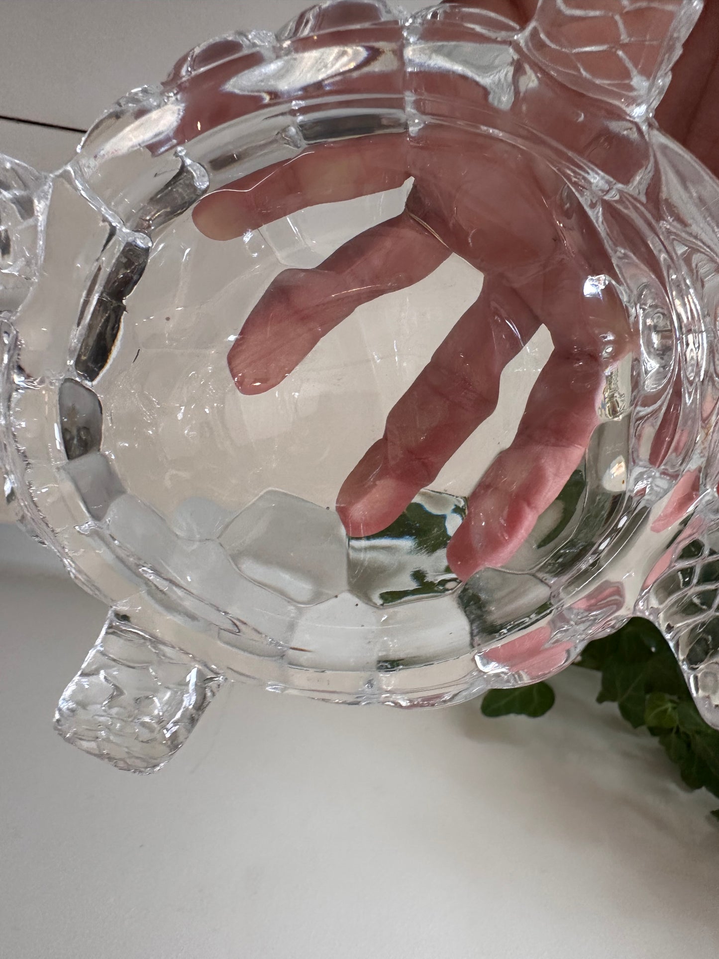 Glazen schildpad jaren 70