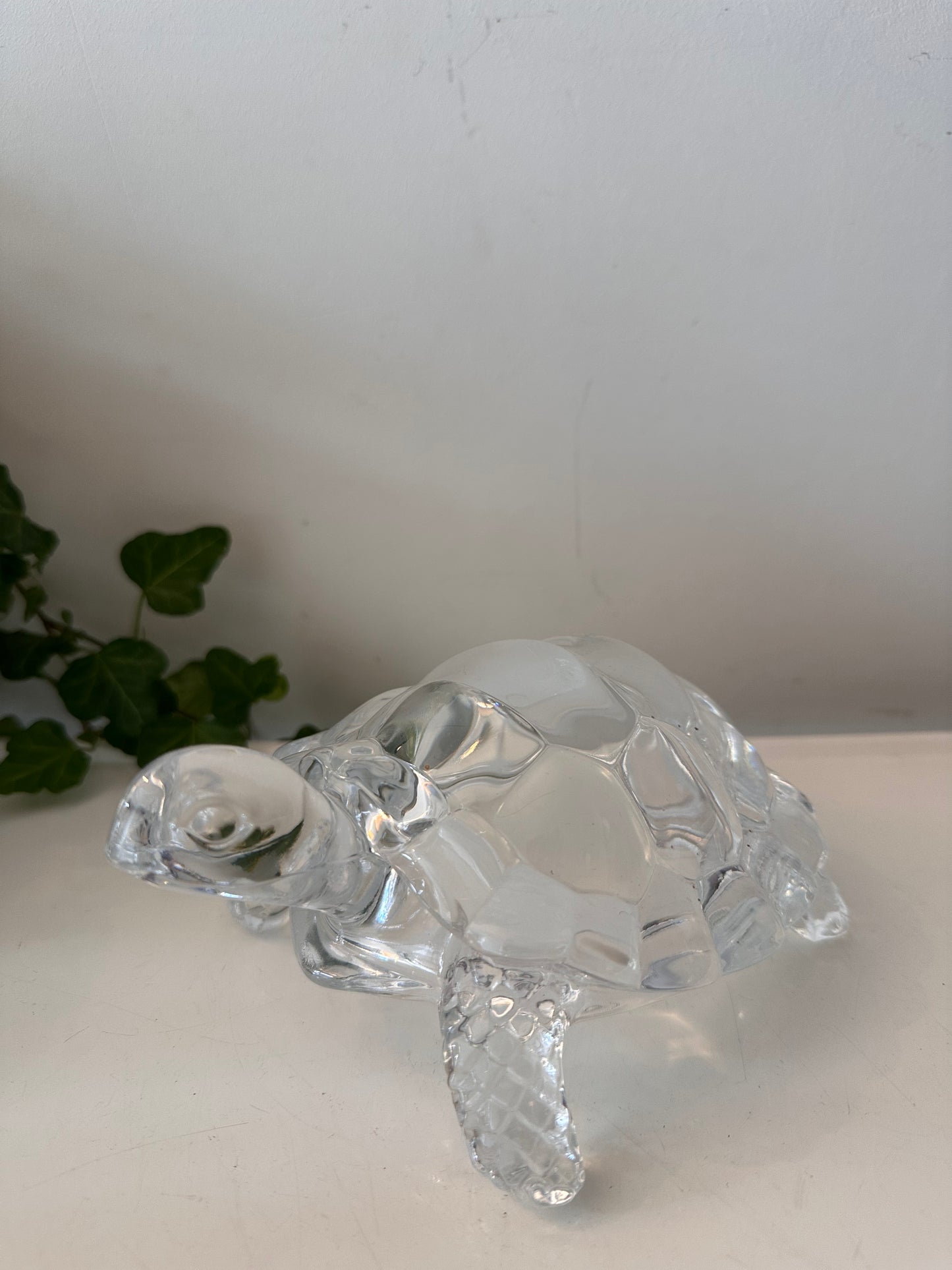 Glazen schildpad jaren 70