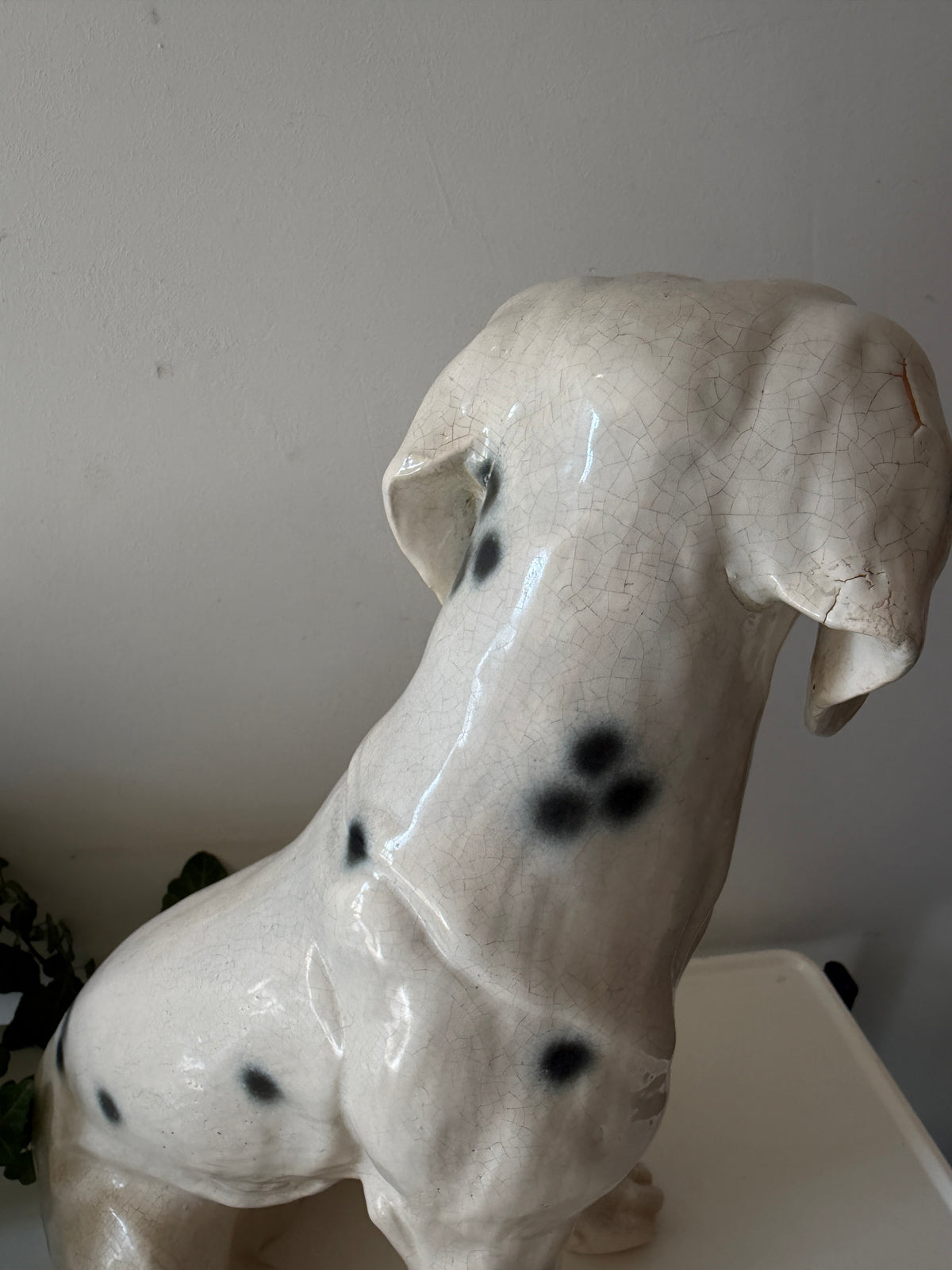 Italiaans beeld dalmatiër