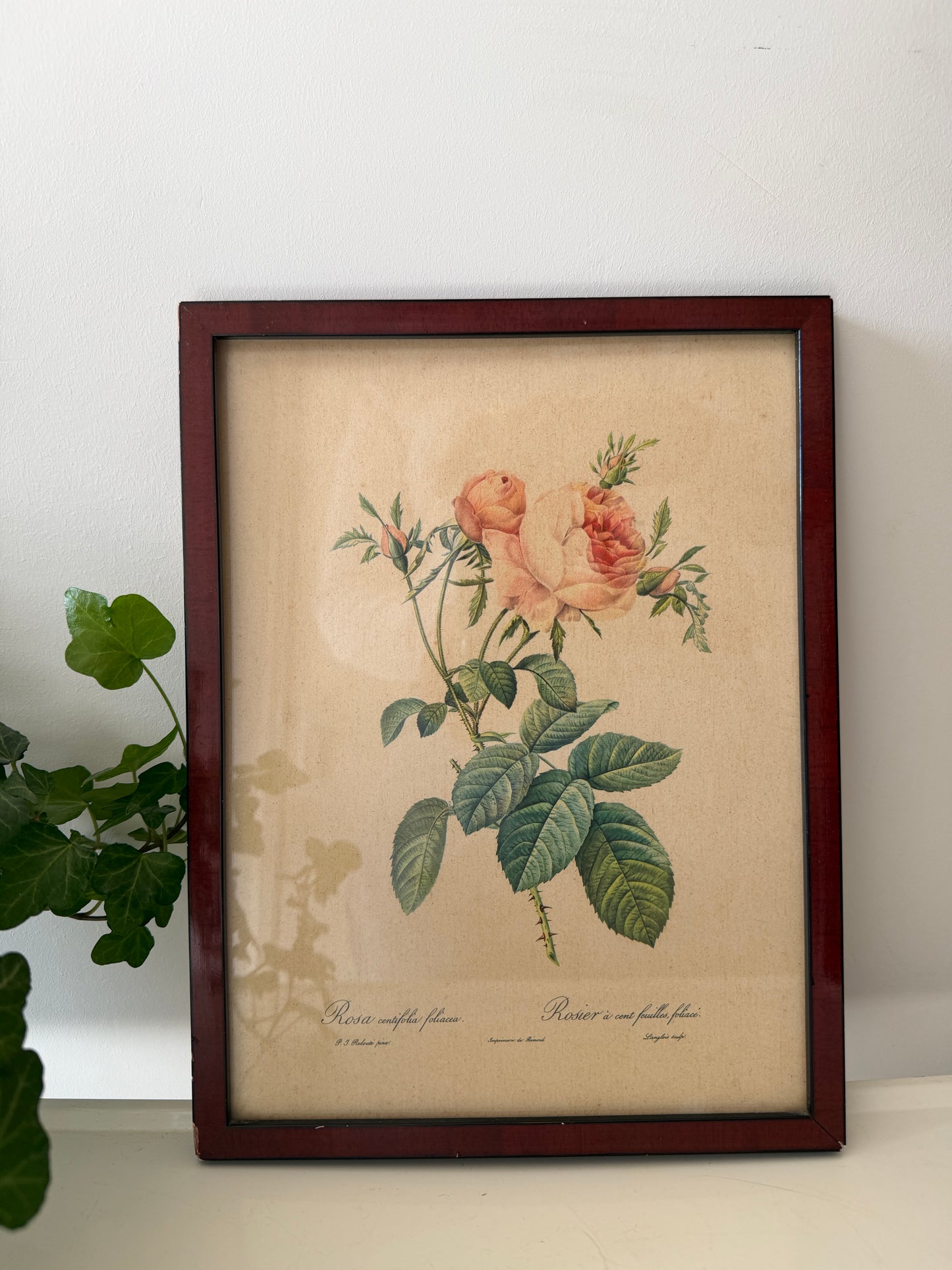 Vintage lijst met rozen prent