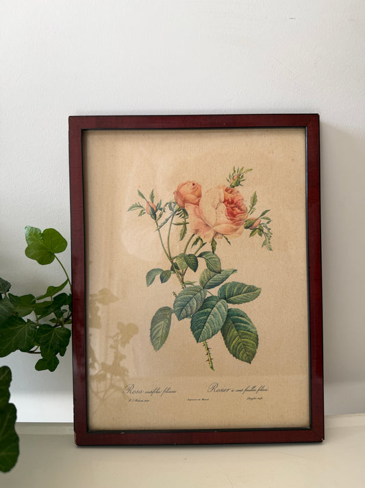 Vintage lijst met rozen prent