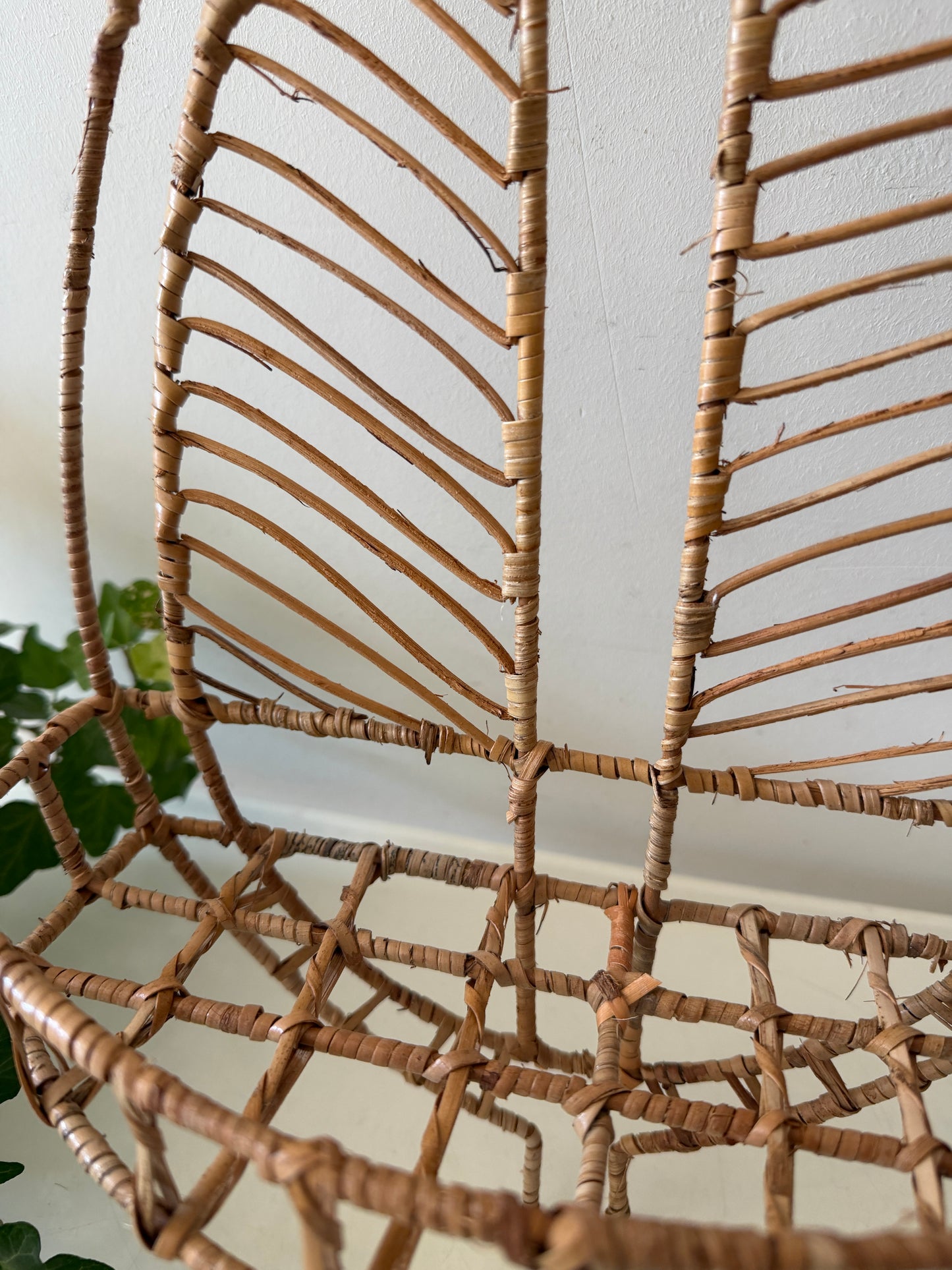 Rotan wandrek bladvorm