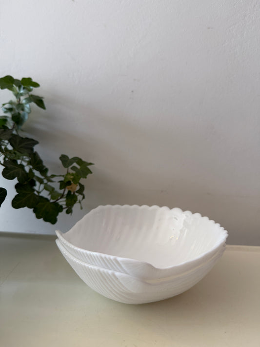 Twee schelpschaaltjes