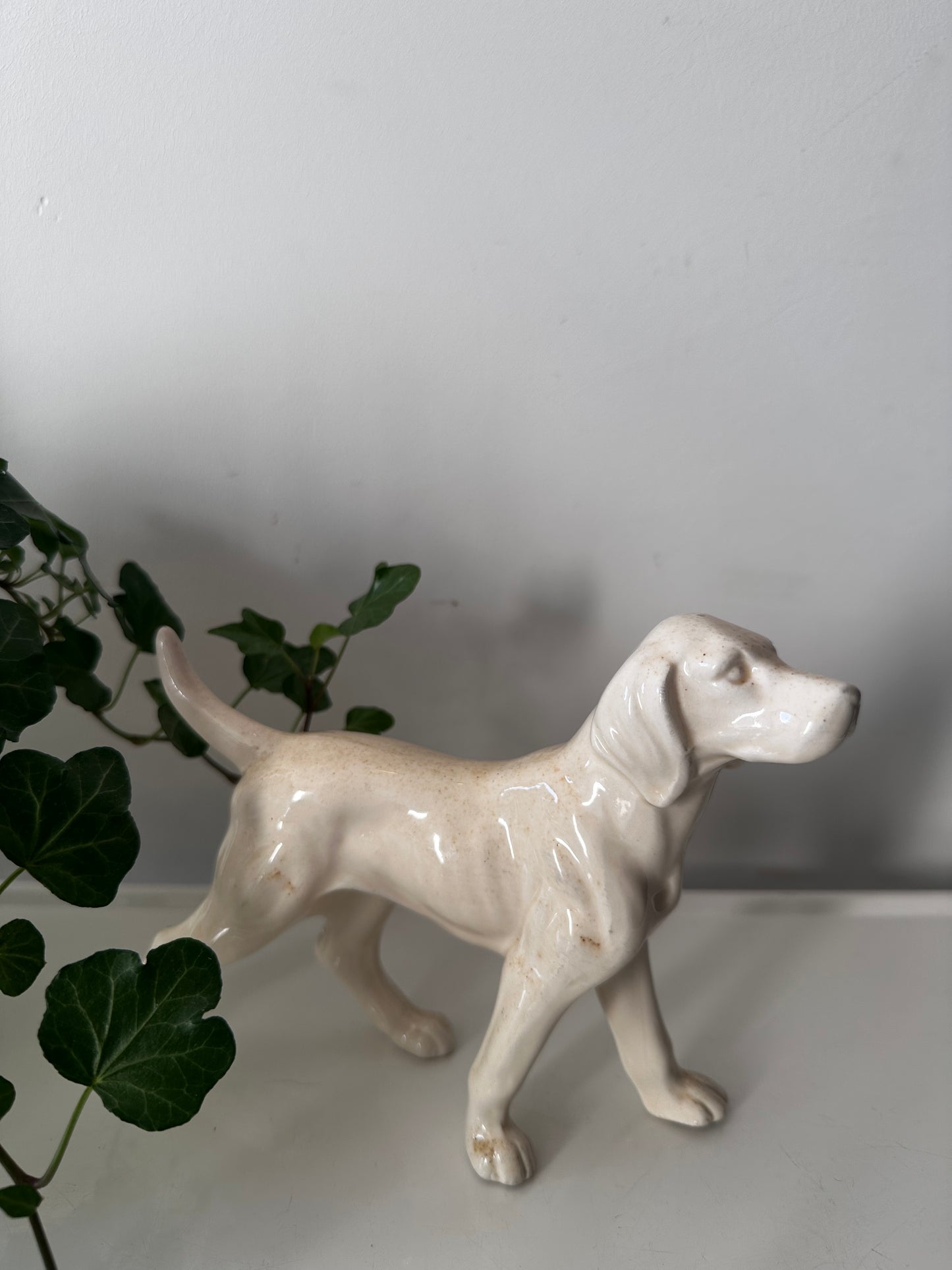 Porseleinen hond, setter vintage