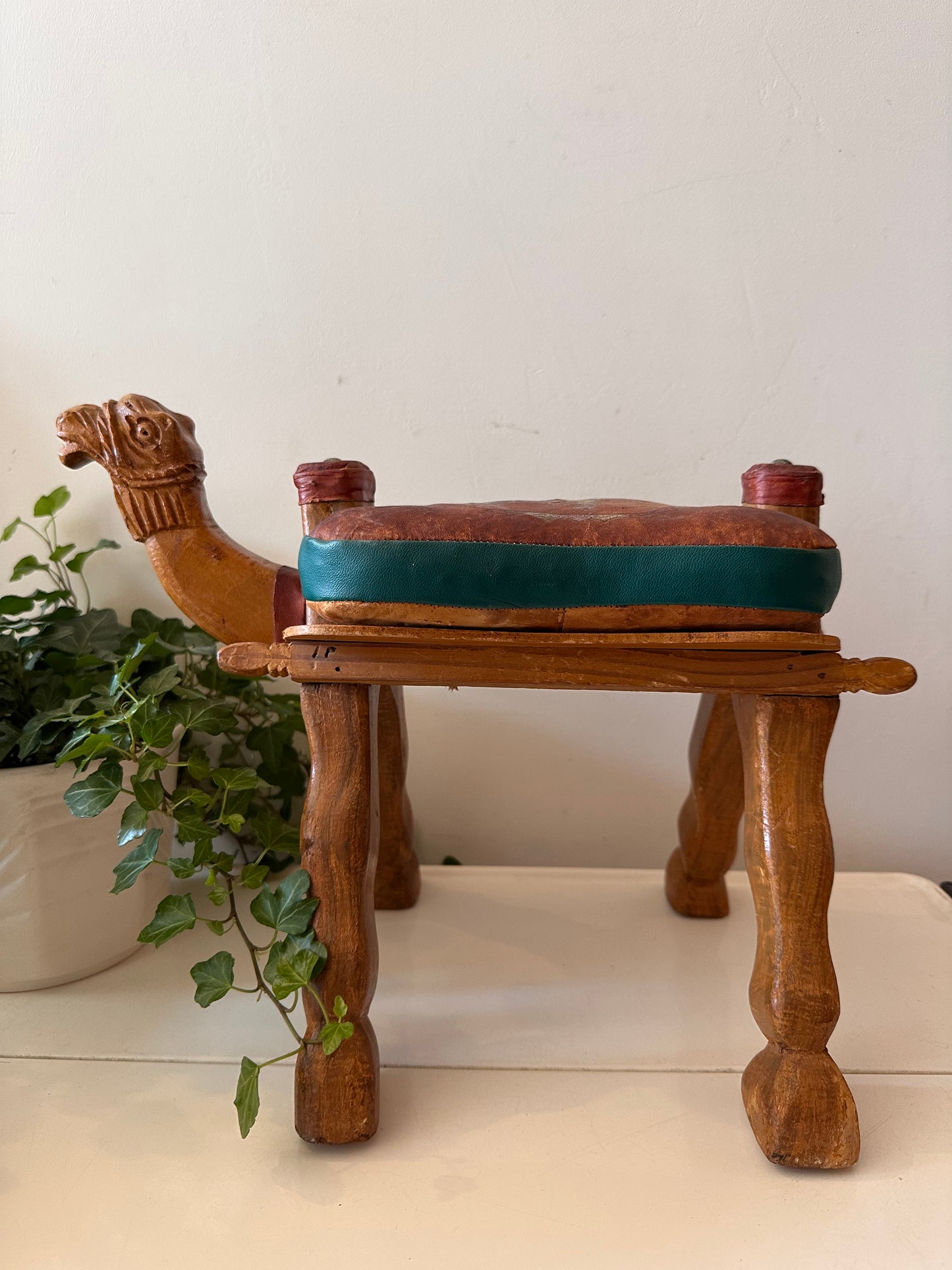 Kamelenkrukje plantentafeltje