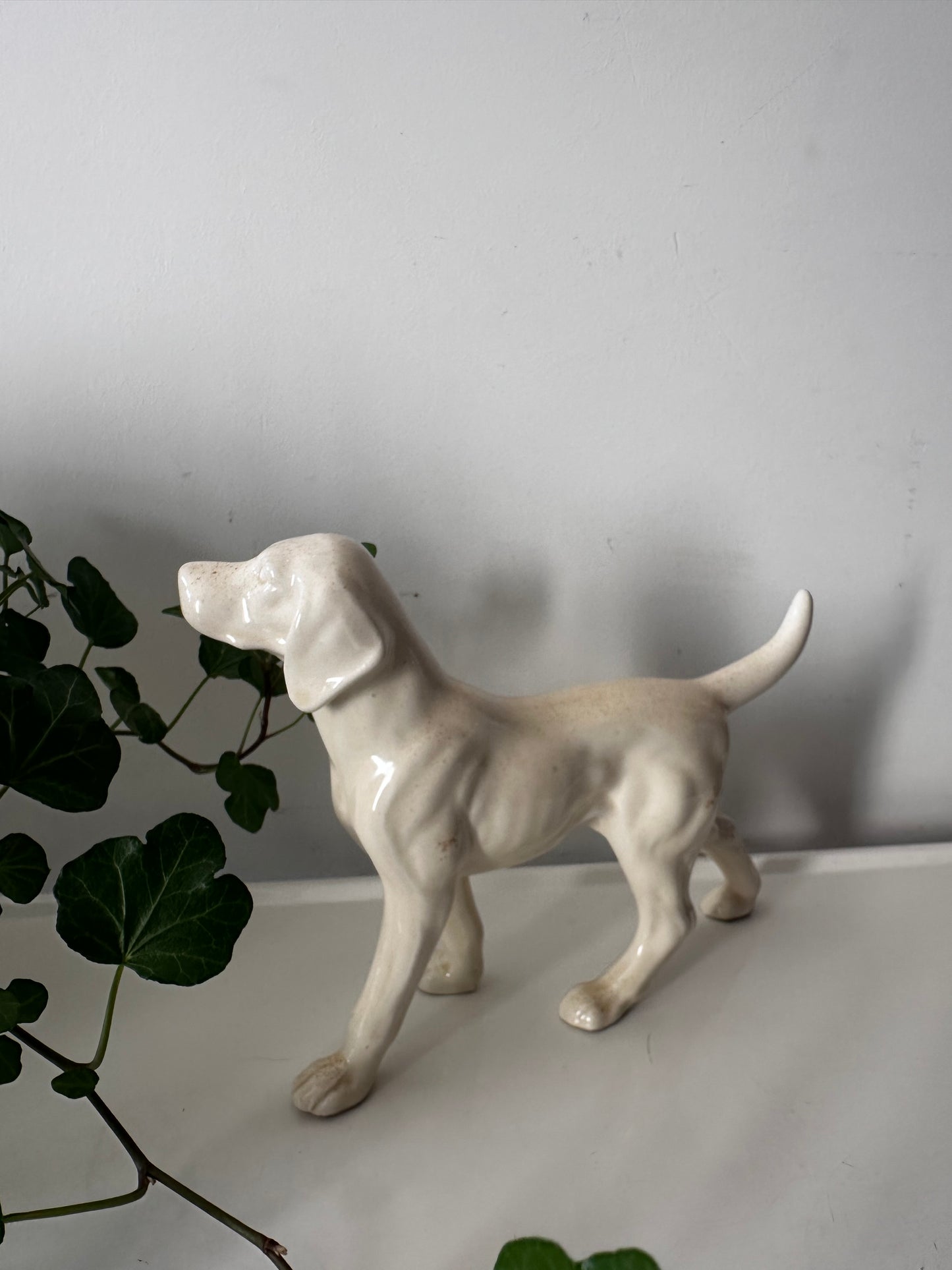 Porseleinen hond, setter vintage