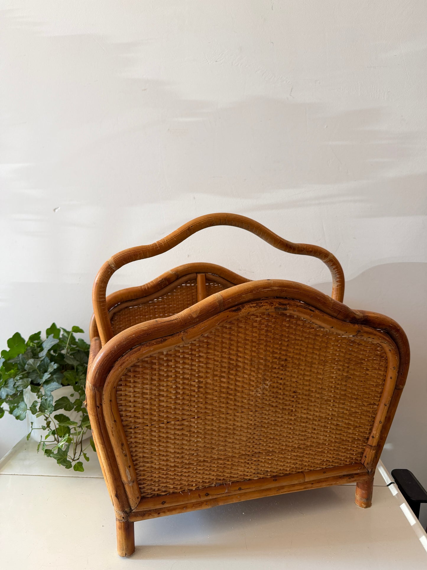 Rotan lectuurmand