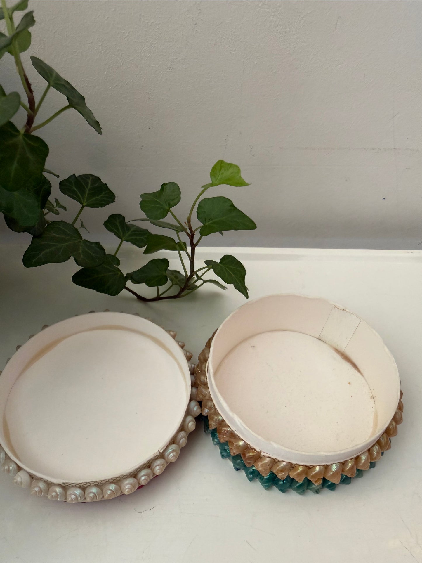 Schelpen bewaardoosje