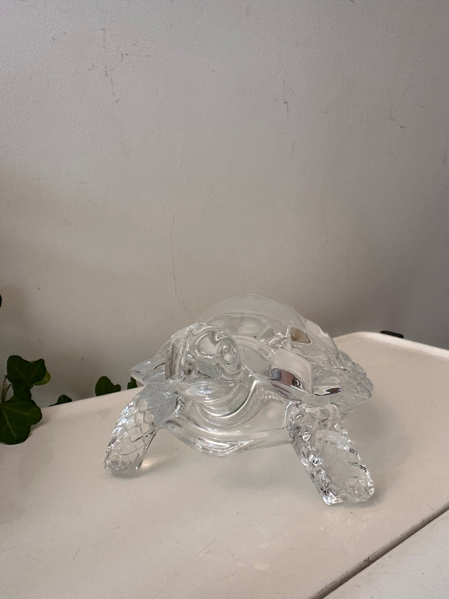 Glazen schildpad jaren 70