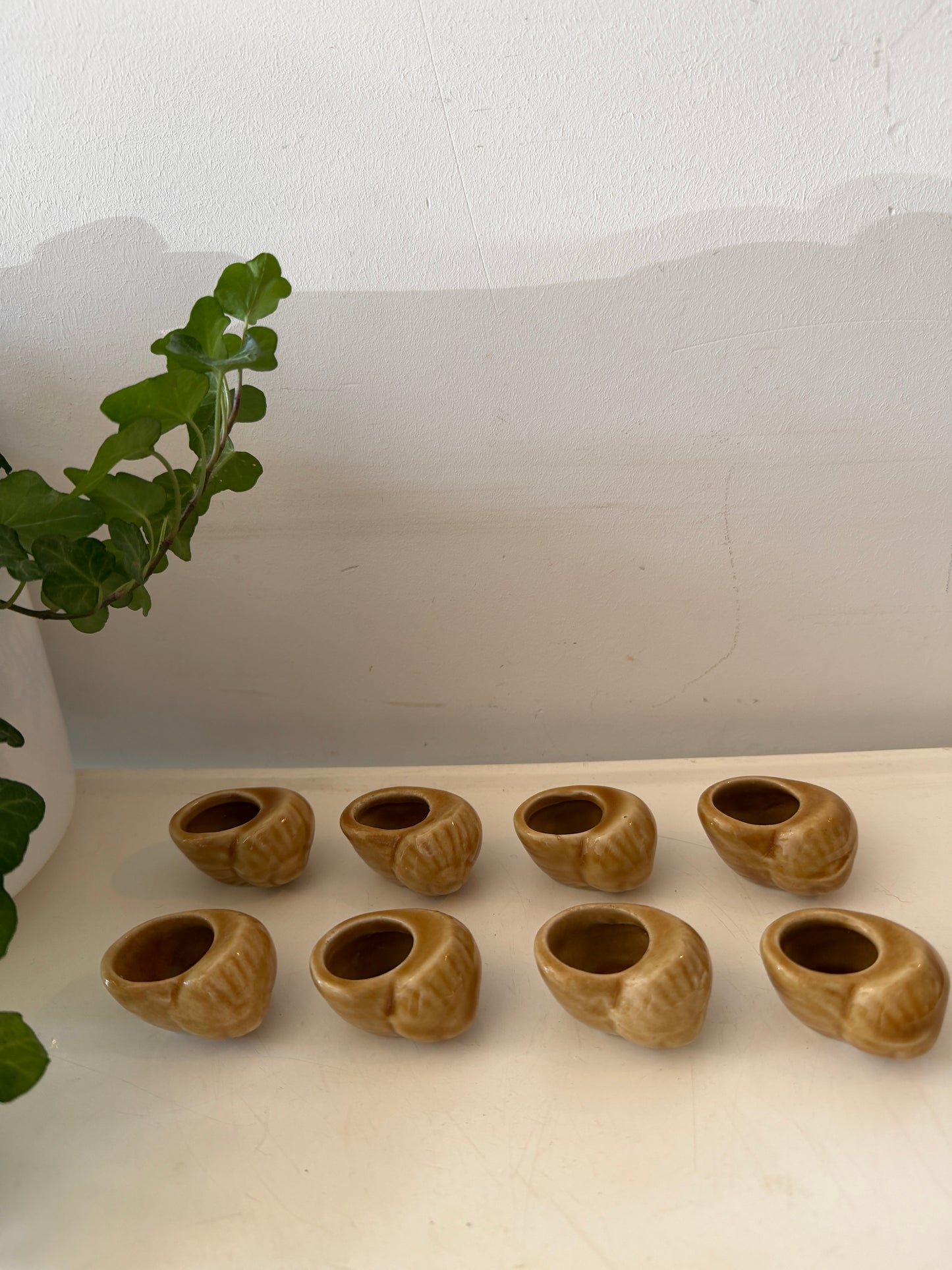 Escargot schaaltjes prijs per stuk