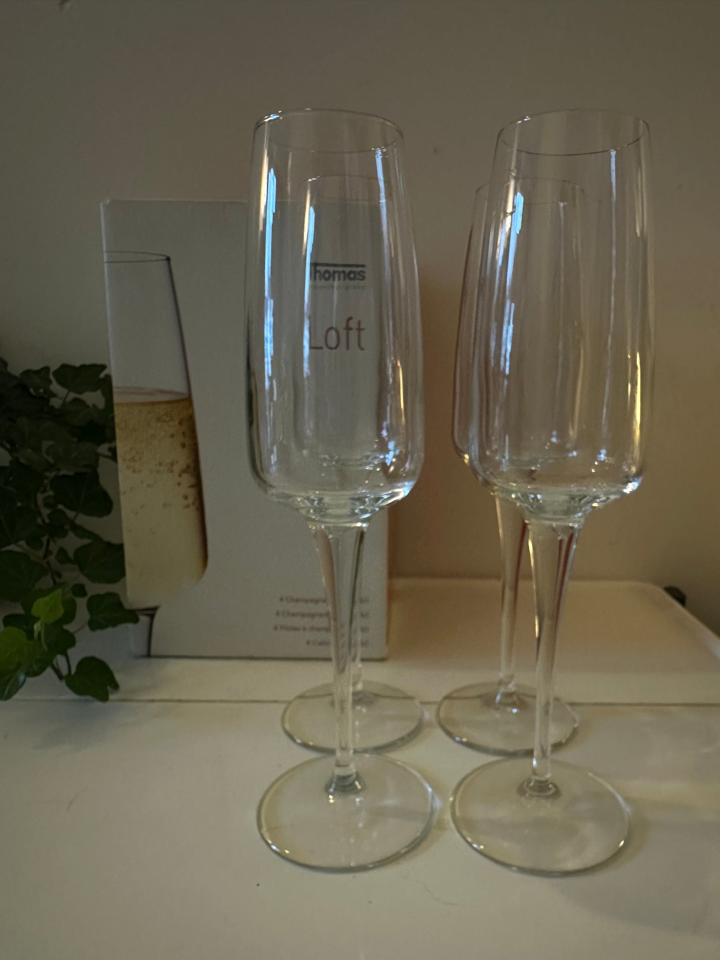 Set van 4 champagne flutes Rosenthal Thomas