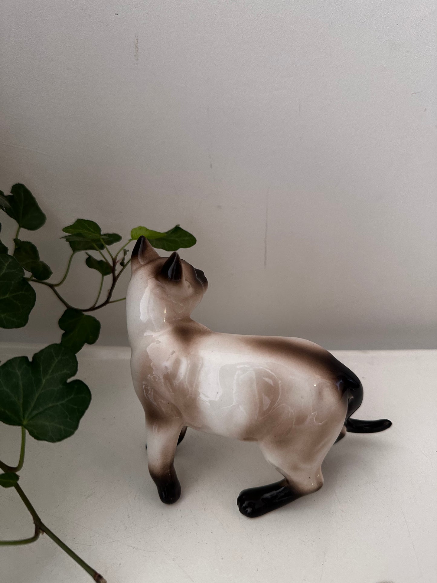 Italiaans porseleinen beeldje van een kat