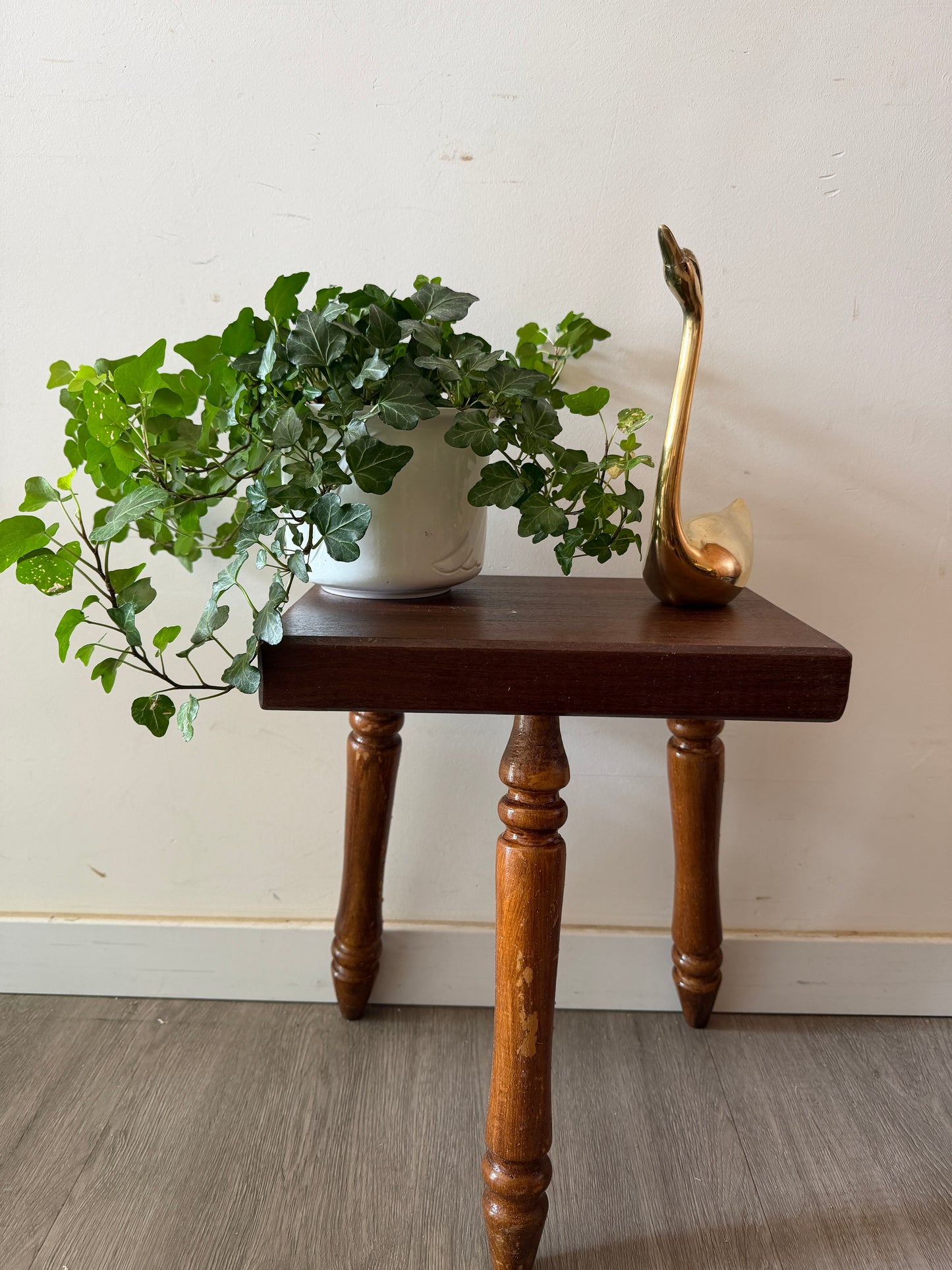 Superleuk vintage plantentafeltje