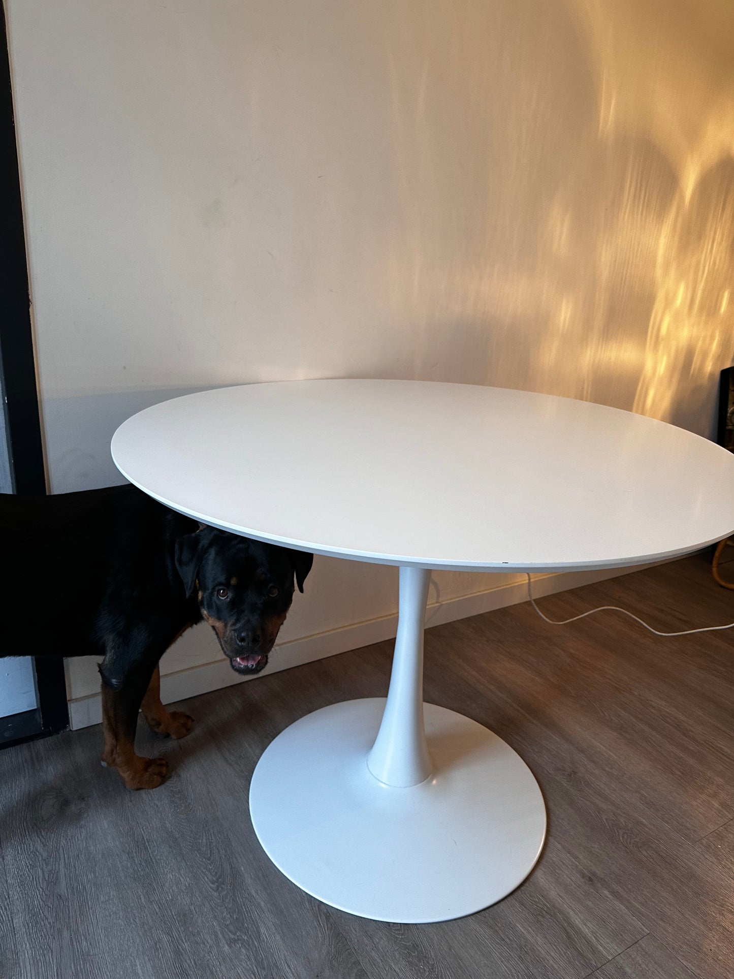 Witte ronde design eetkamertafel